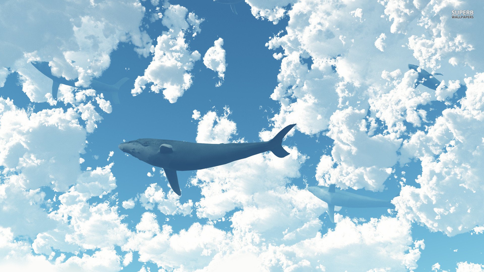 创意,儿童桌面专用