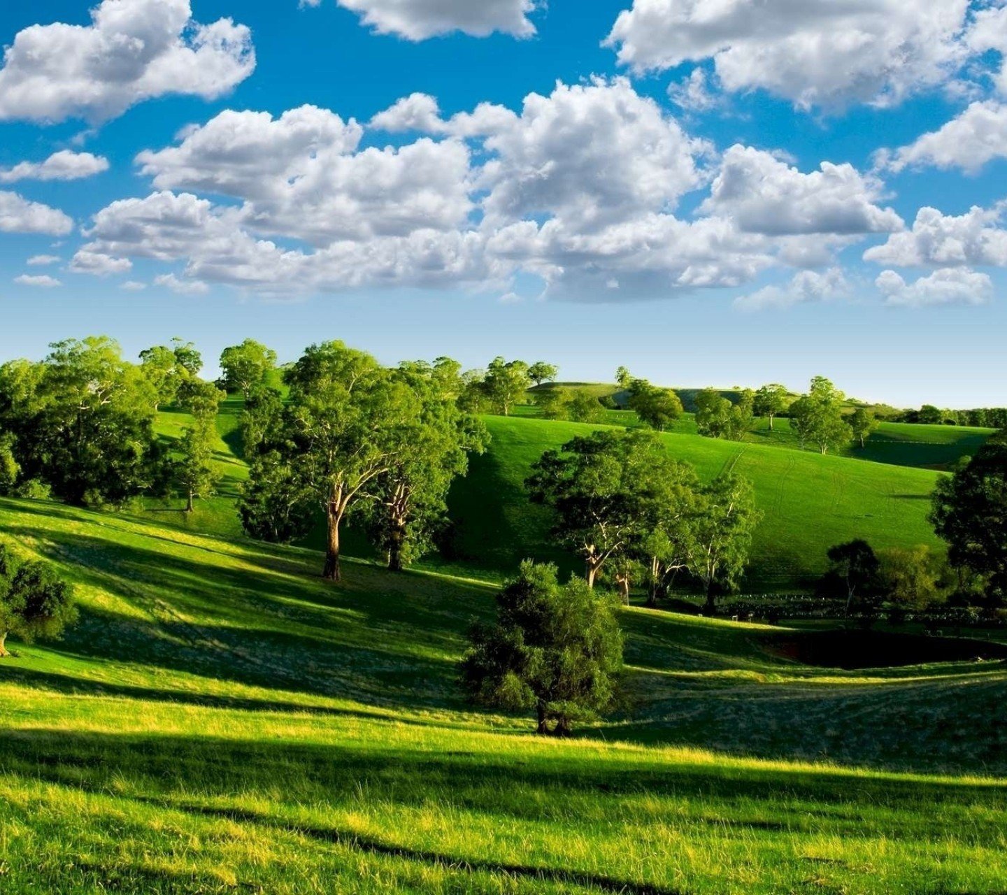 风景,儿童桌面专用