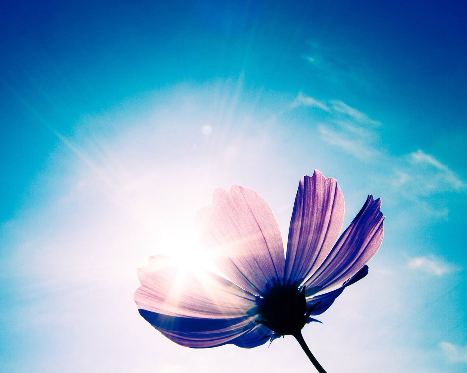 小清新,儿童桌面专用