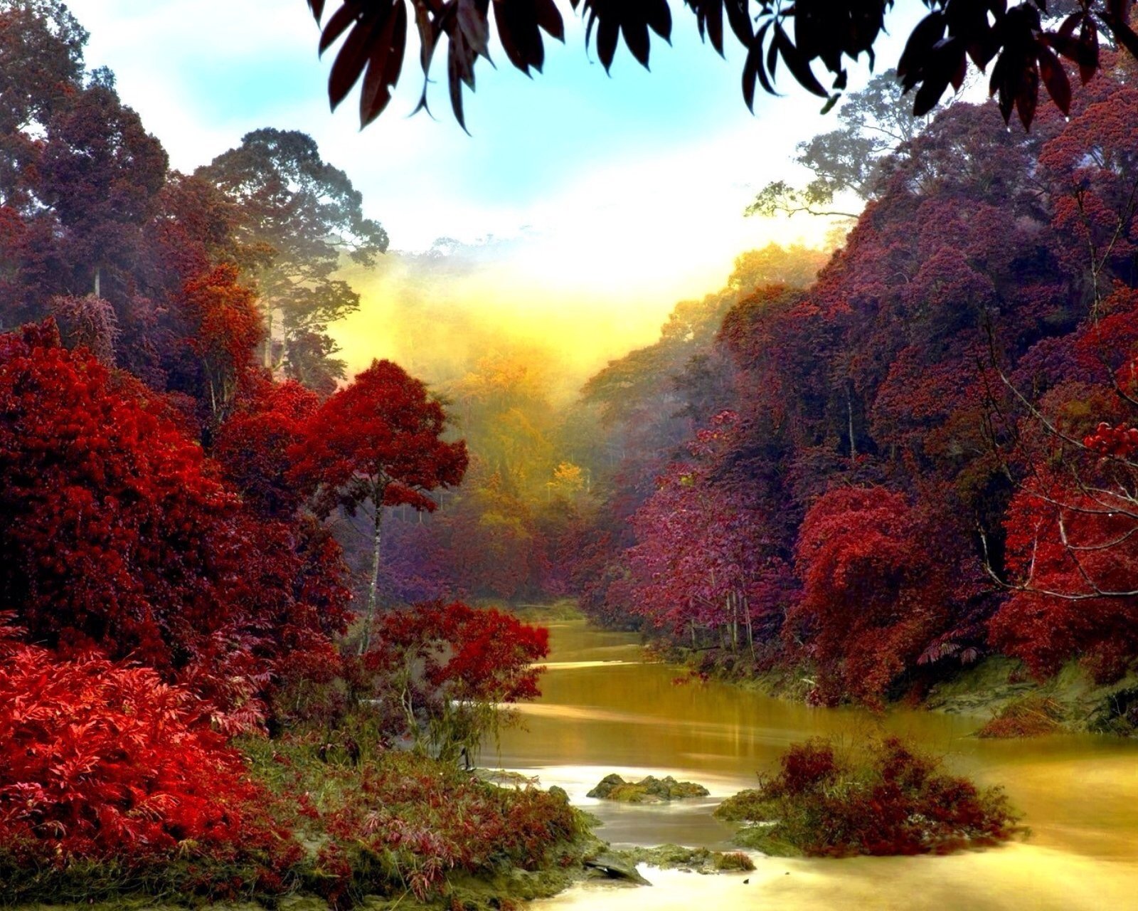 风景,儿童桌面专用