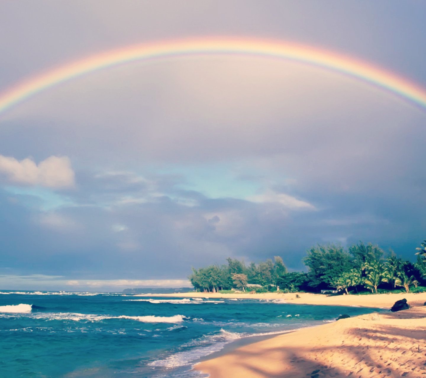 风景,儿童桌面专用