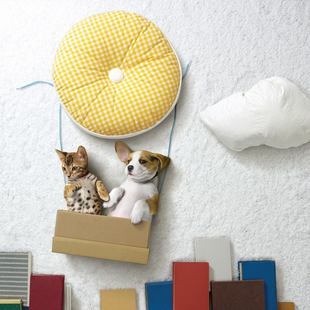 萌宠,儿童桌面专用