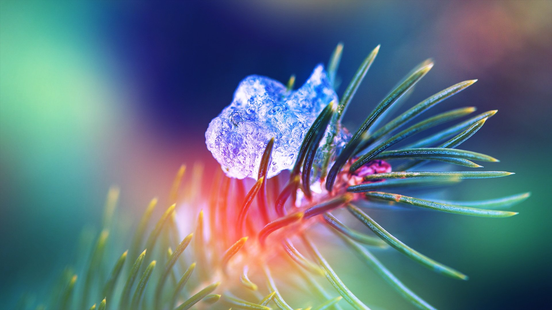 小清新,儿童桌面专用