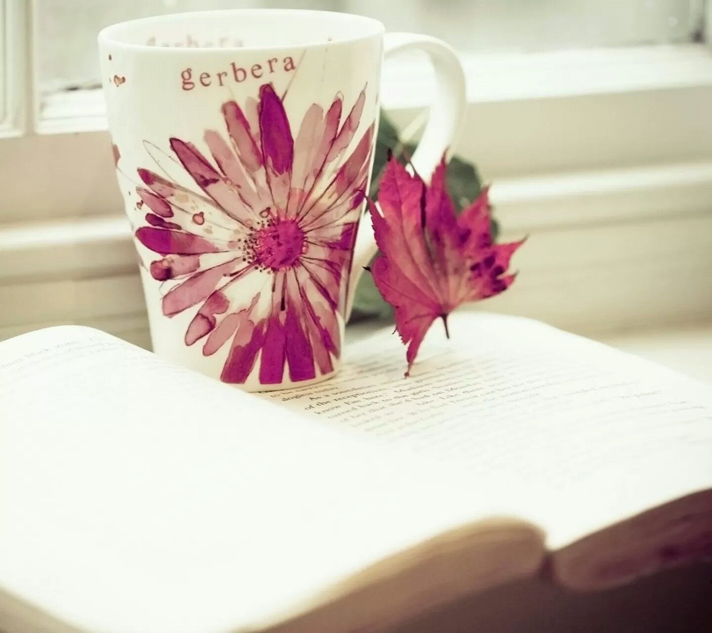 小清新,儿童桌面专用