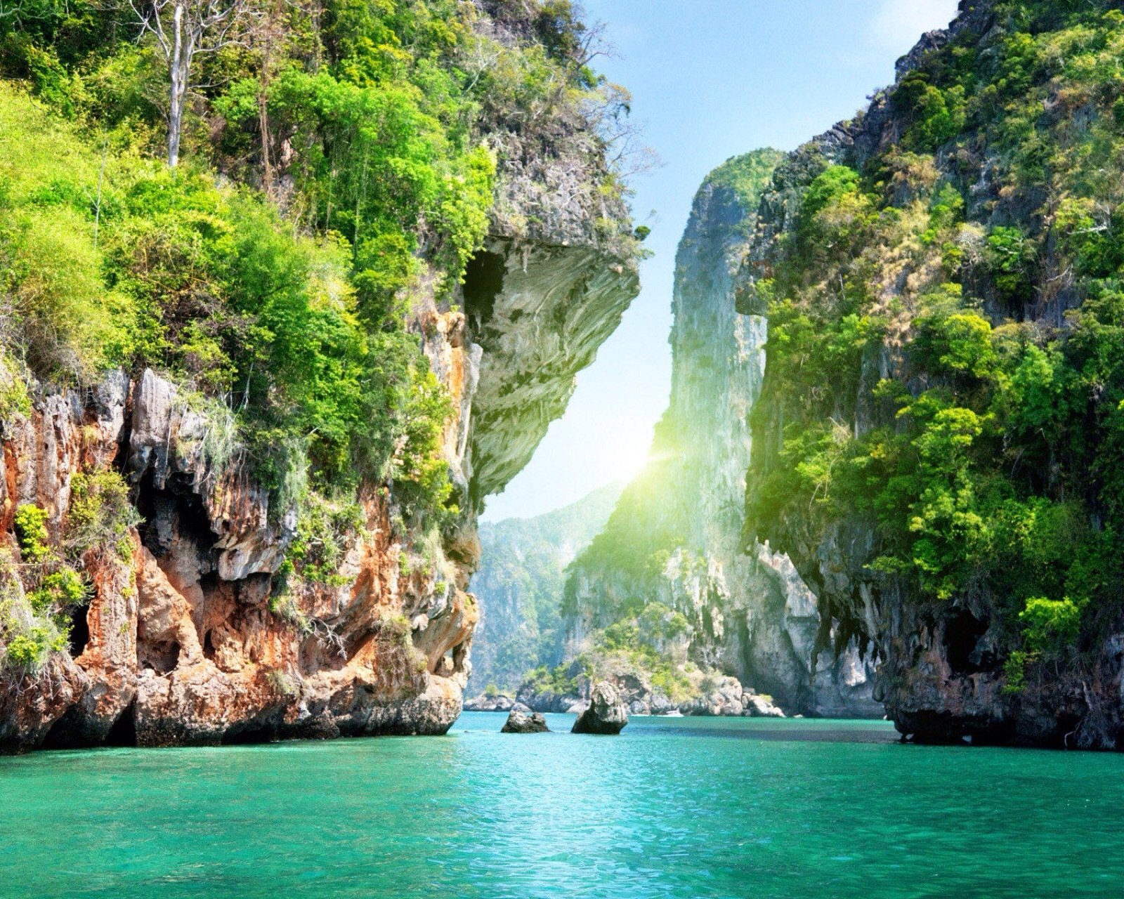 风景,儿童桌面专用