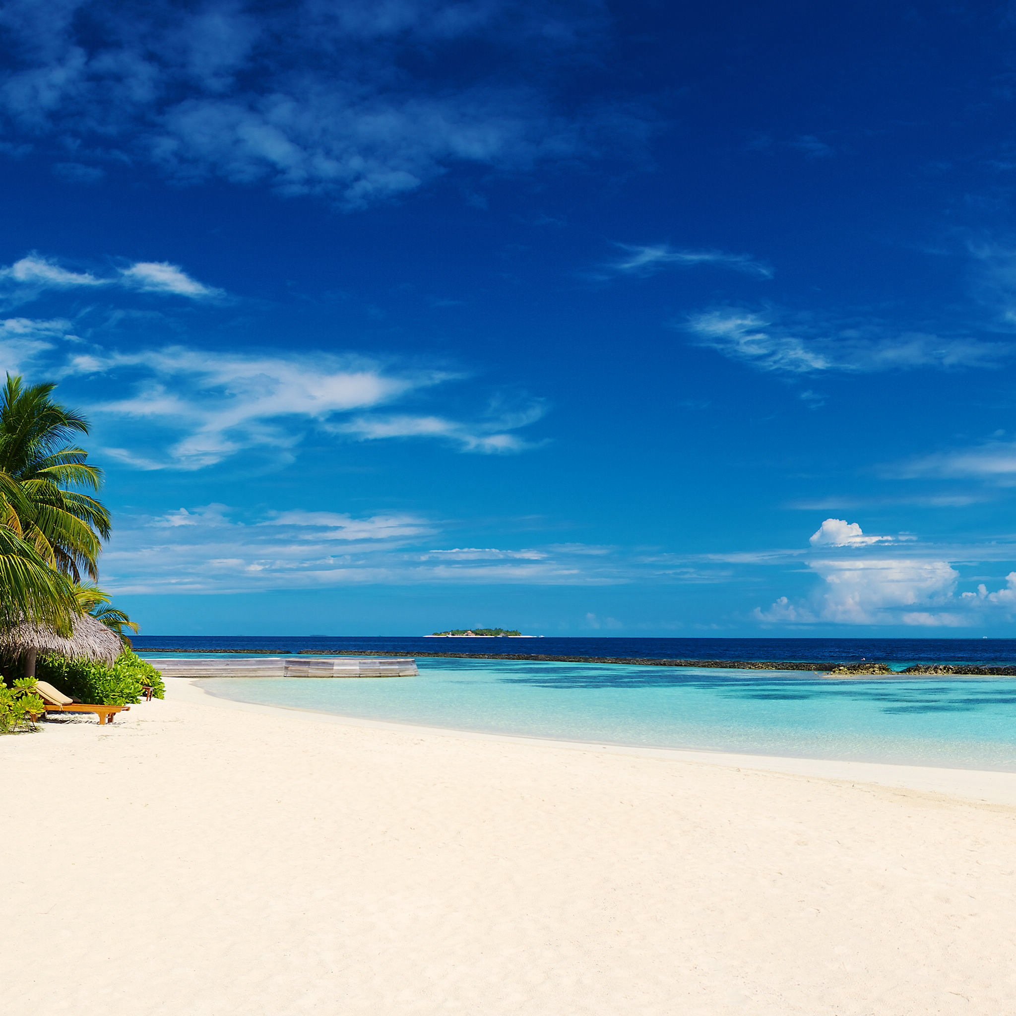 风景,儿童桌面专用