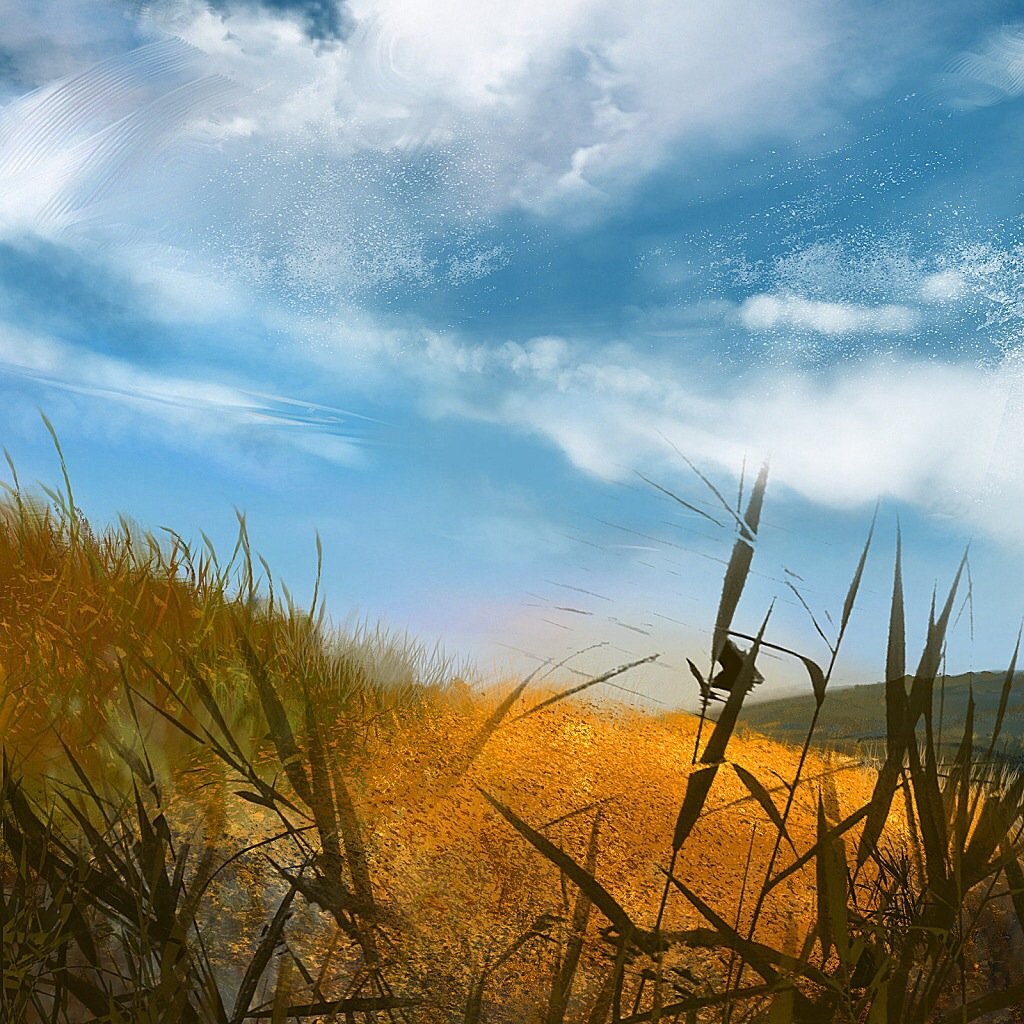 风景,儿童桌面专用