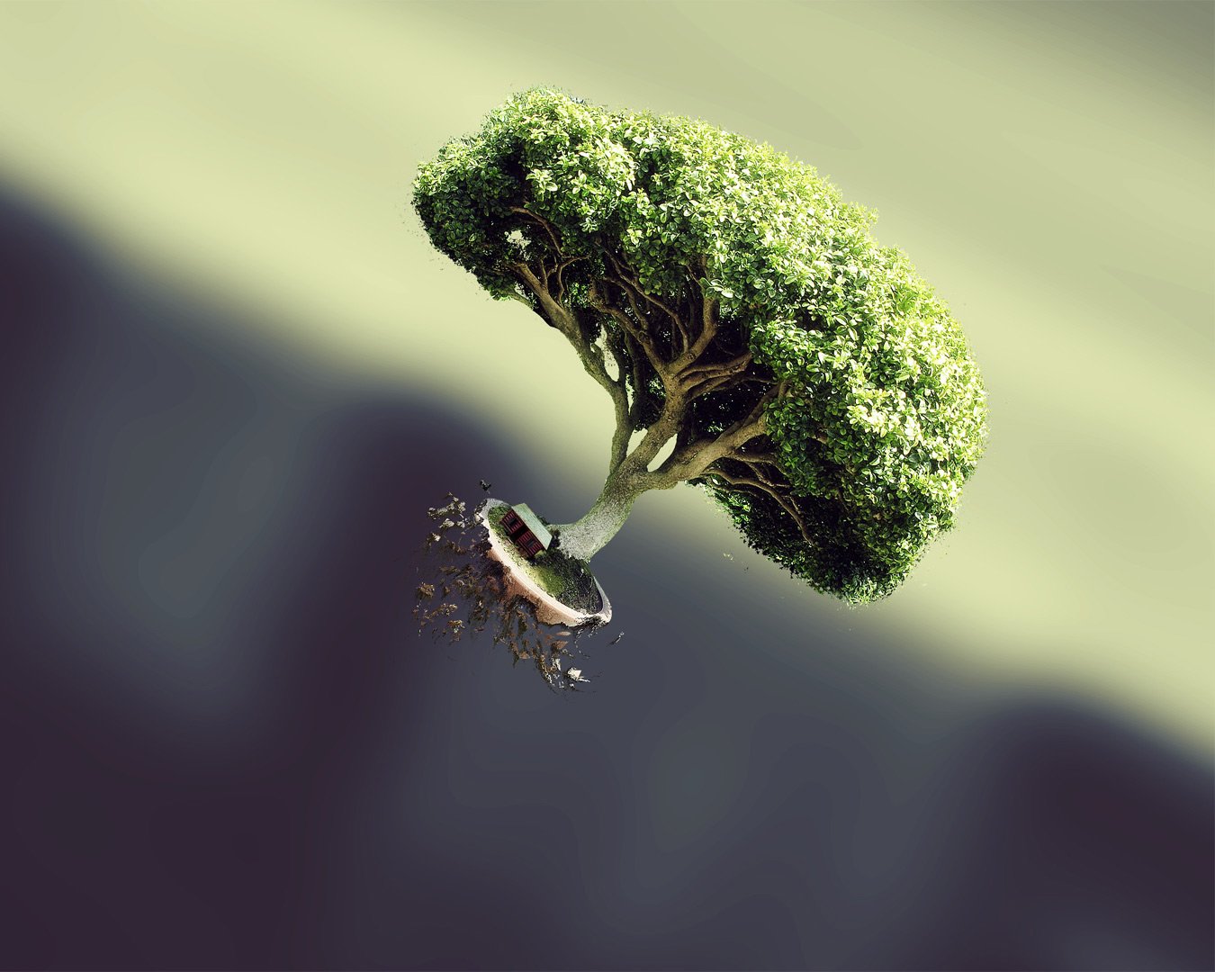 小清新,儿童桌面专用