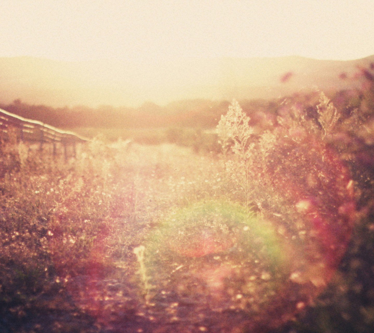 小清新,儿童桌面专用