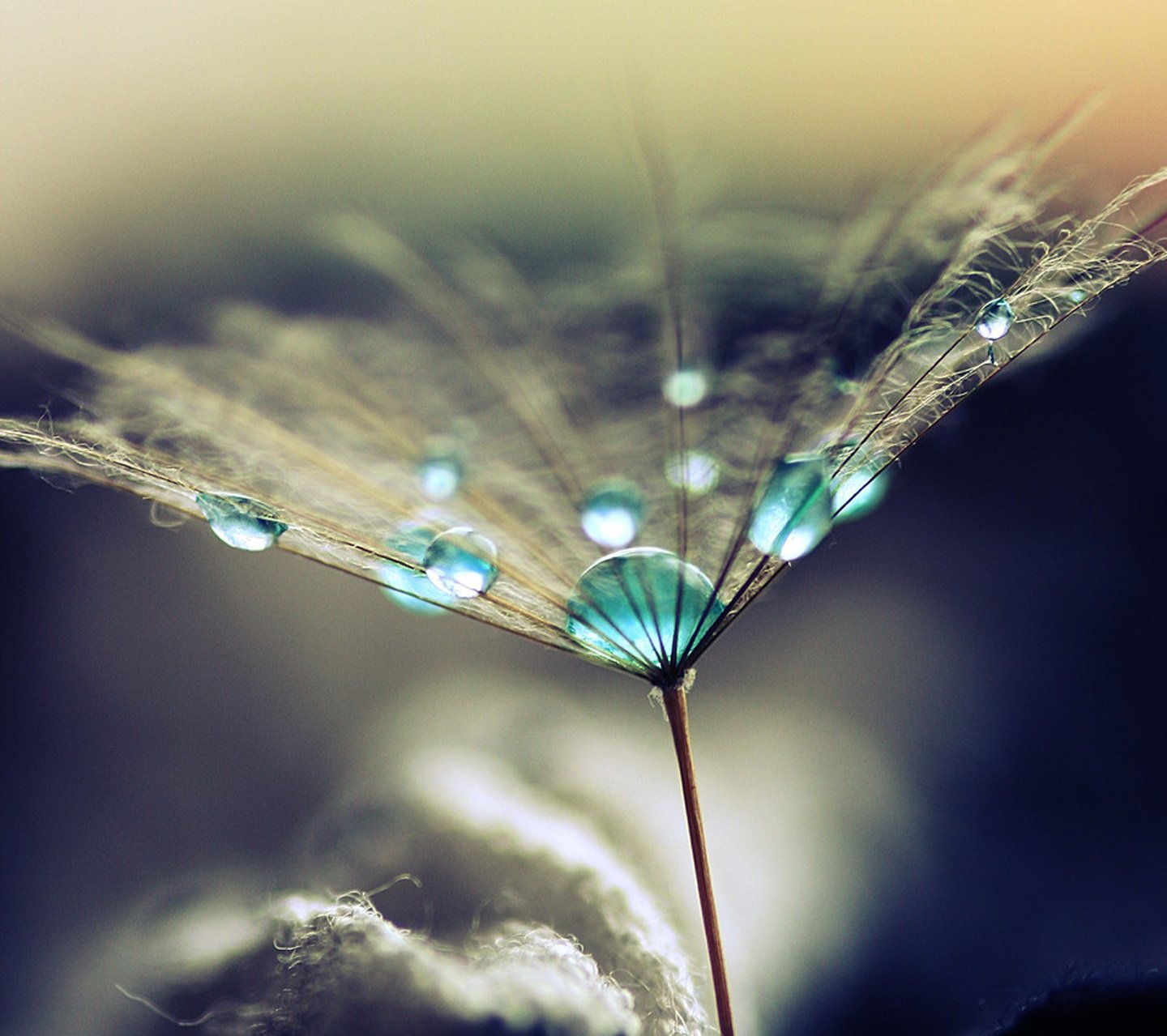 小清新,儿童桌面专用