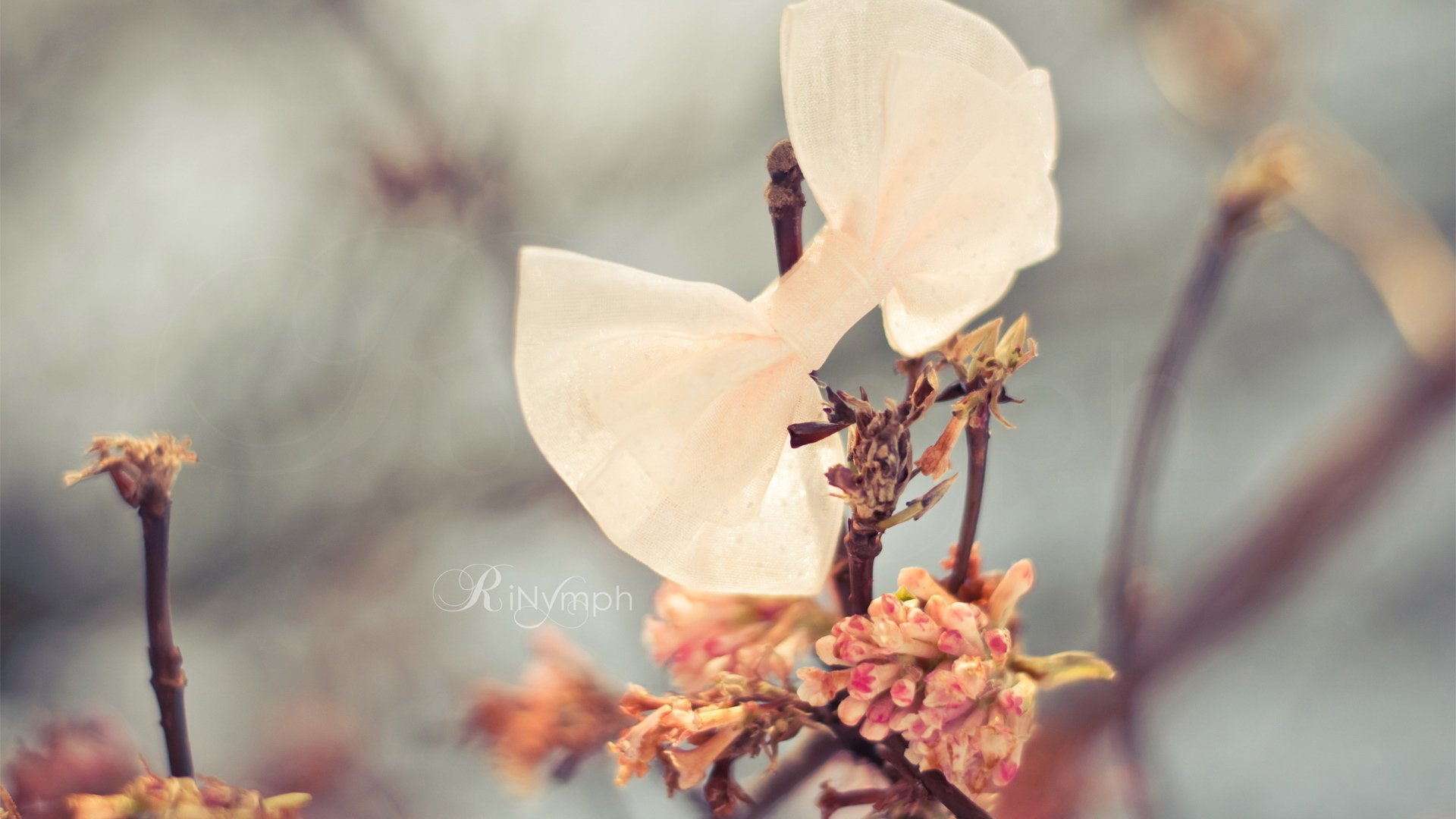 小清新,儿童桌面专用