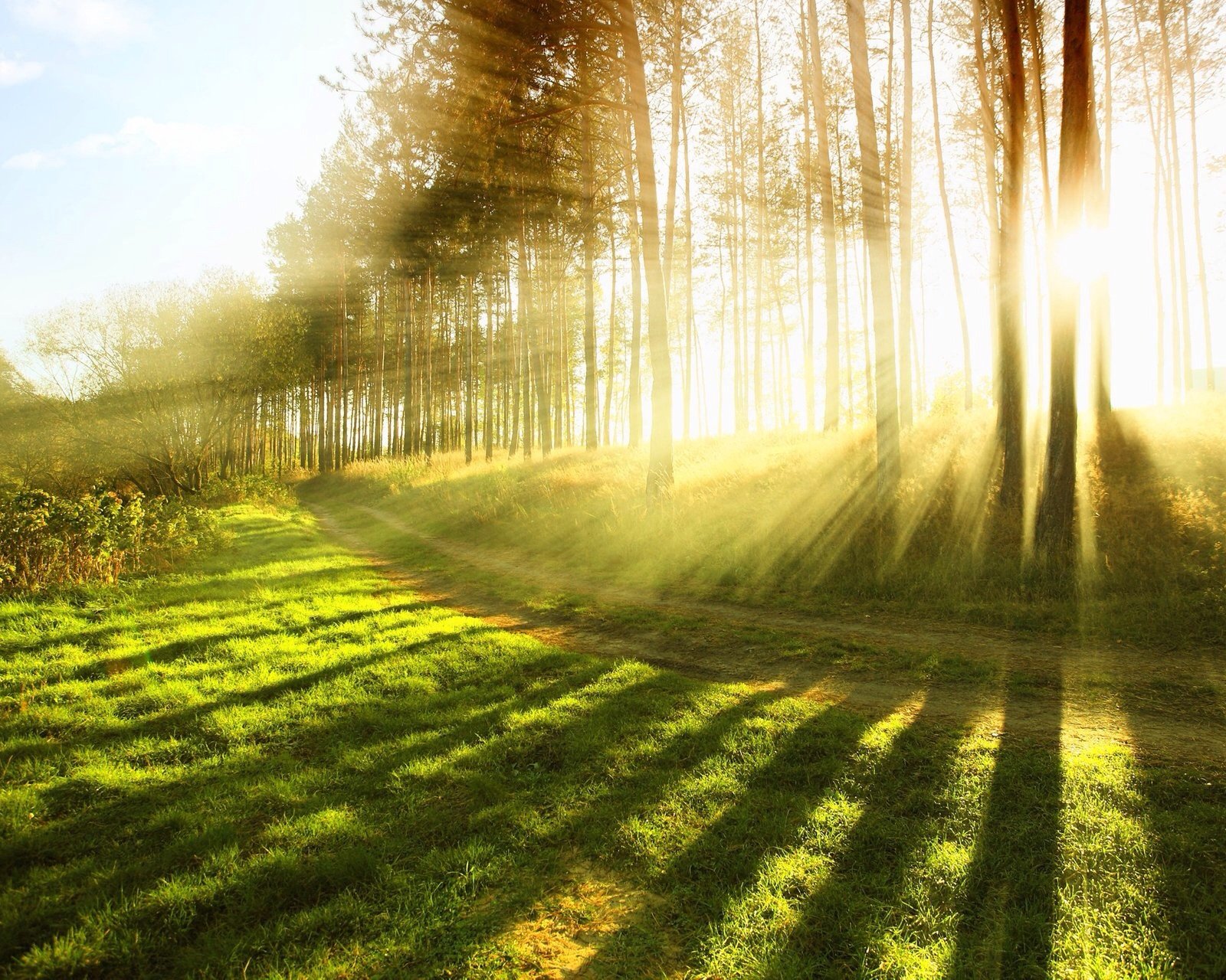 风景,儿童桌面专用