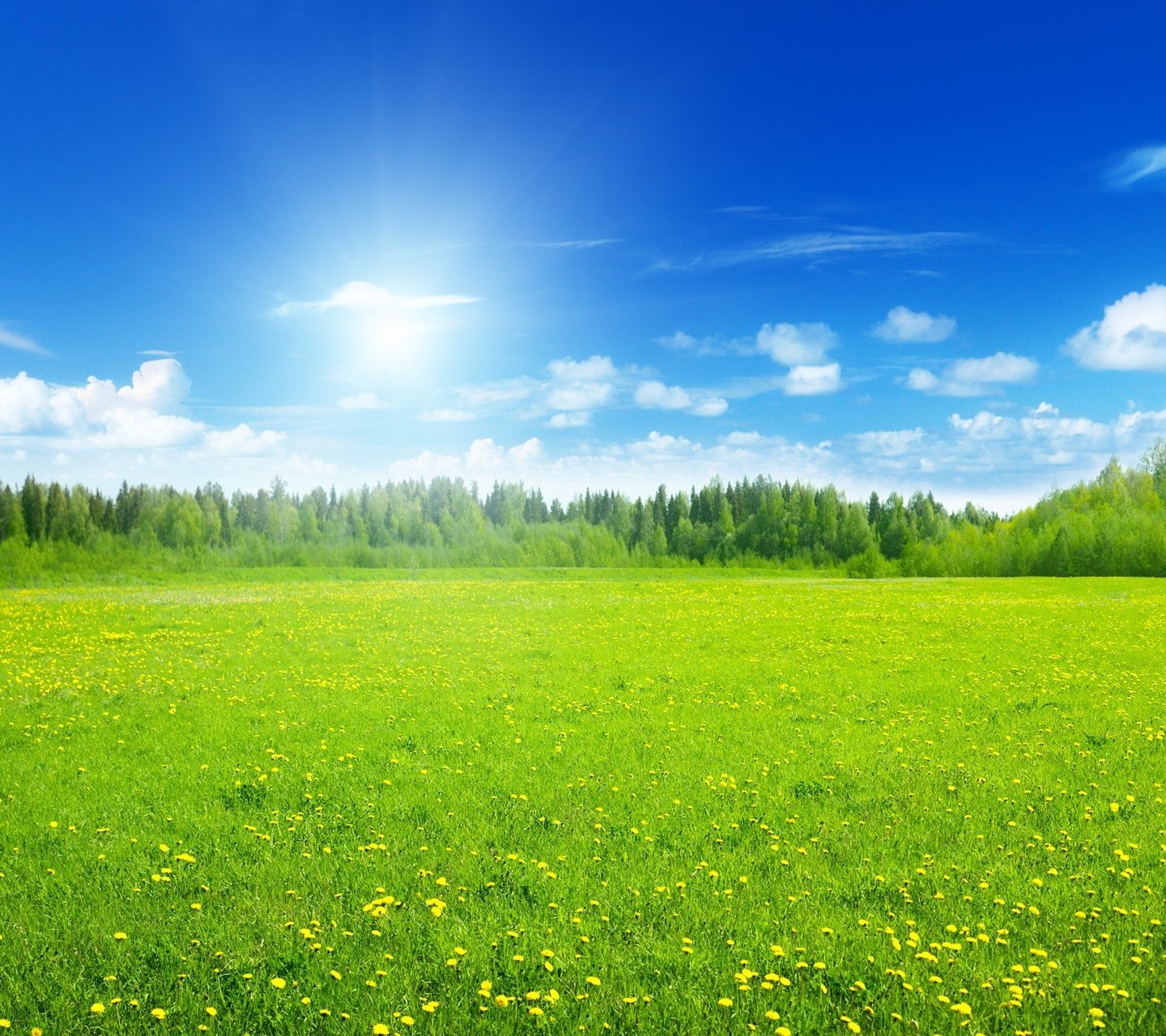 风景,儿童桌面专用