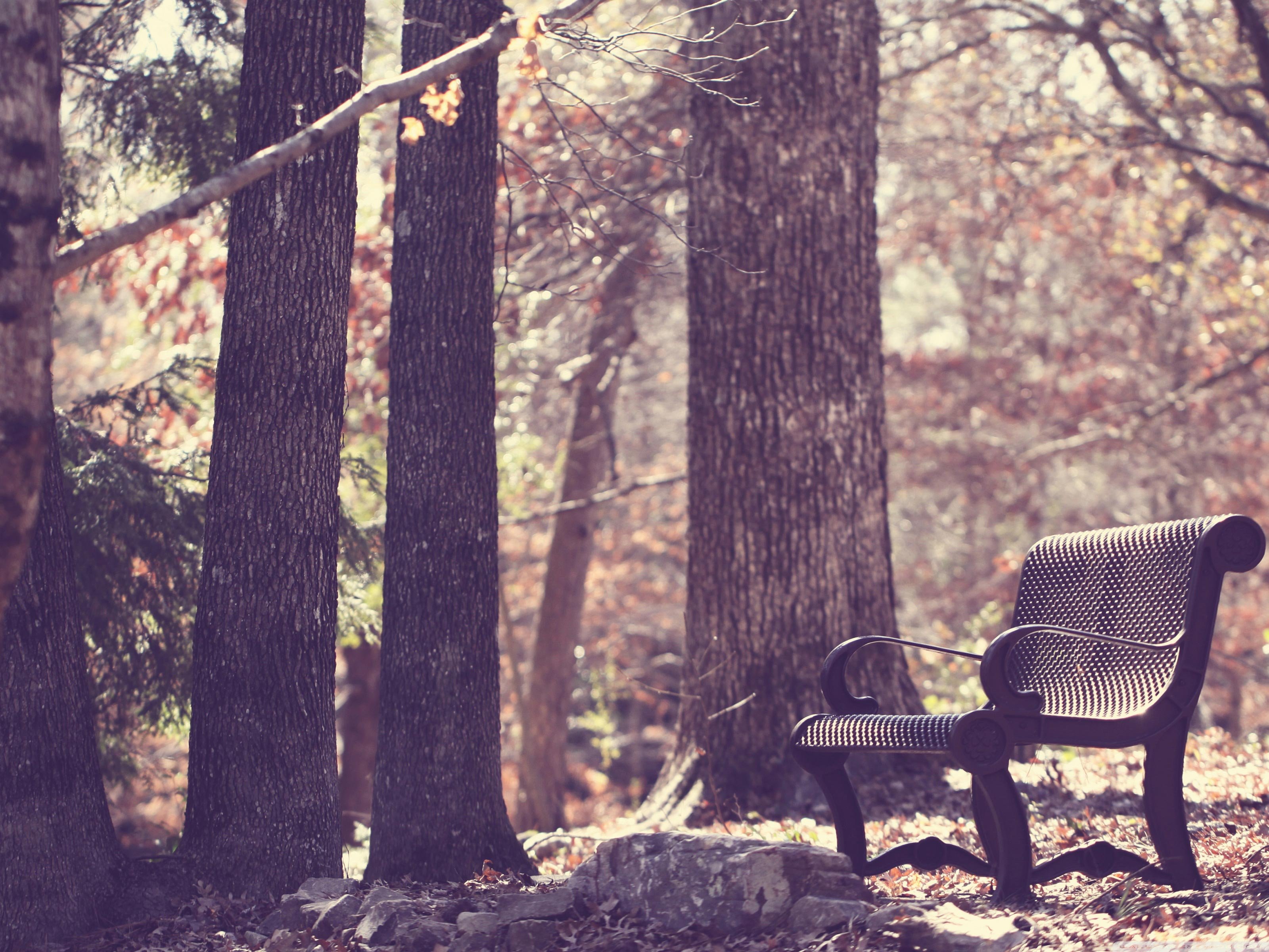 风景,儿童桌面专用