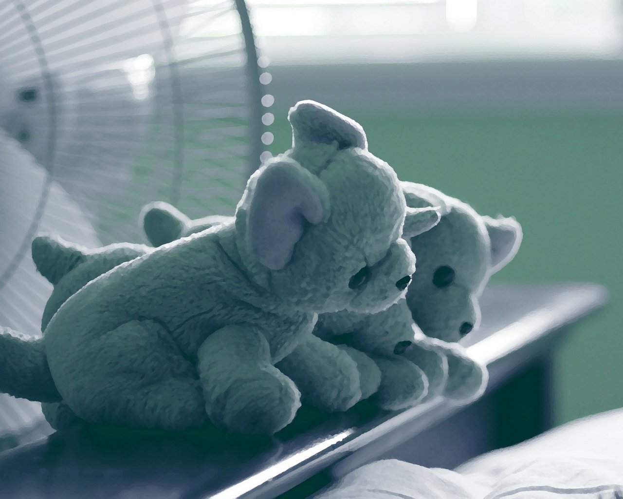 小清新,儿童桌面专用