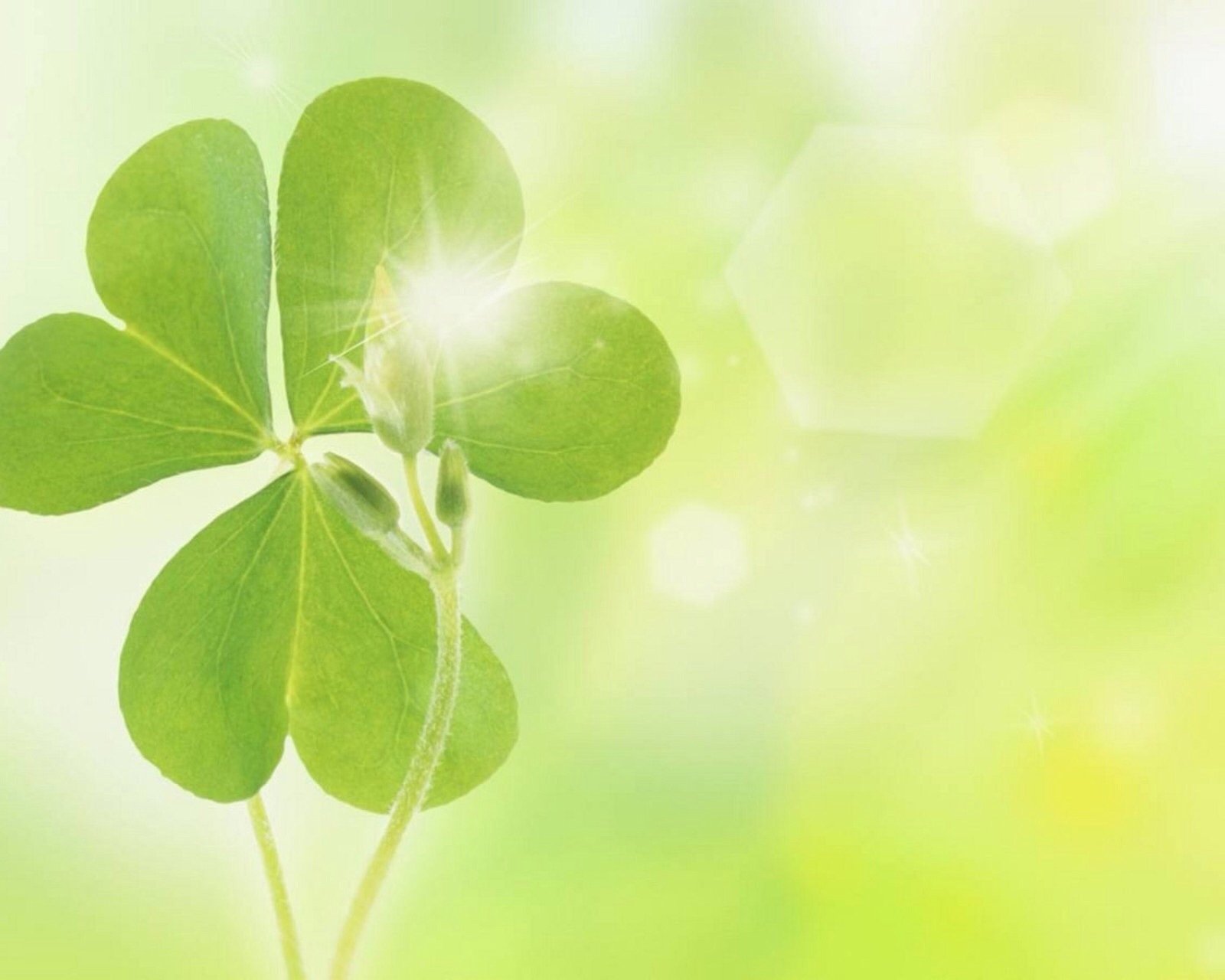 小清新,儿童桌面专用