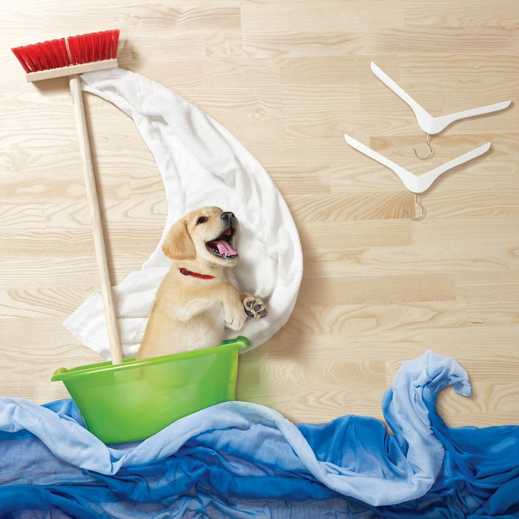 萌宠,儿童桌面专用