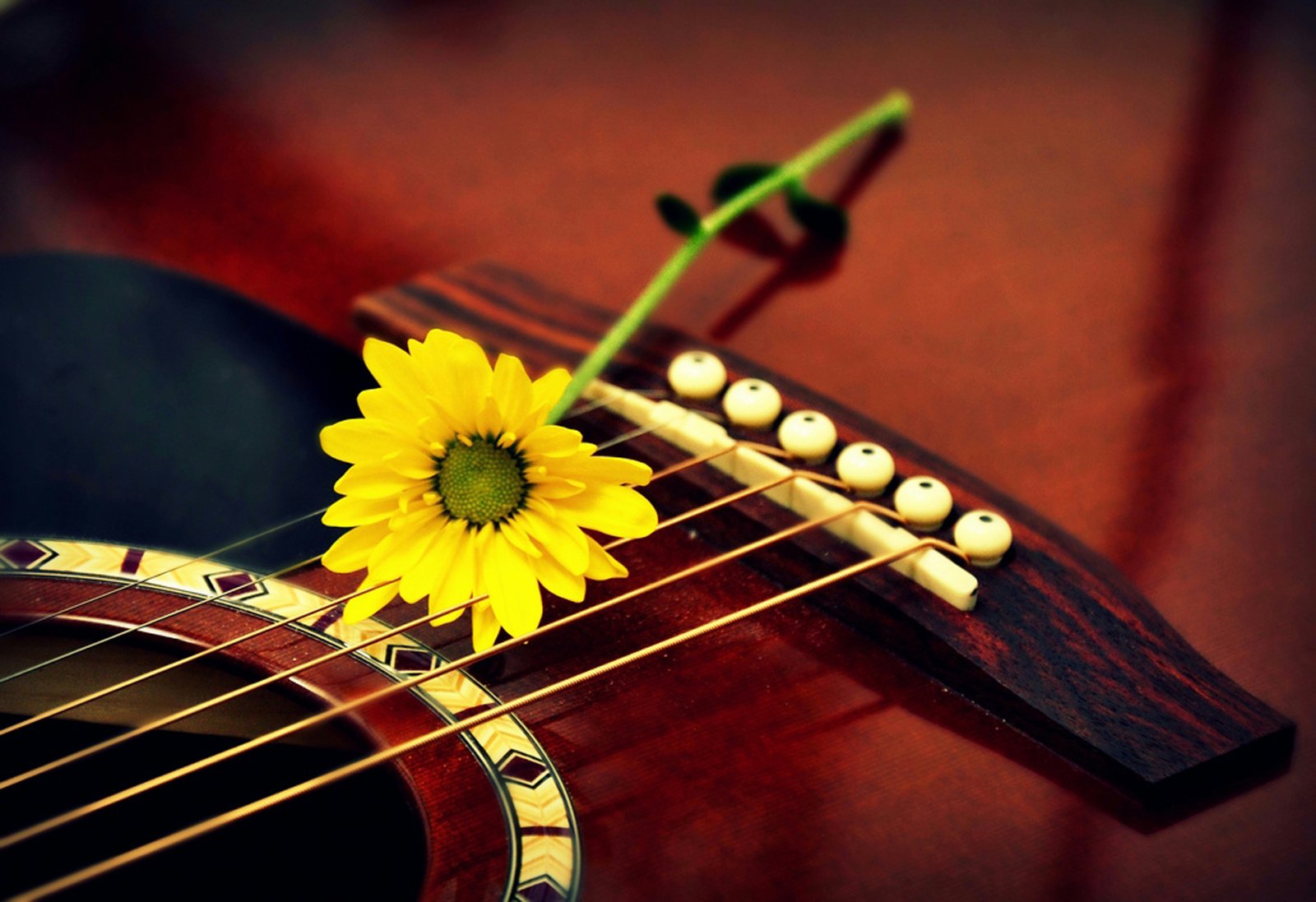 小清新,儿童桌面专用