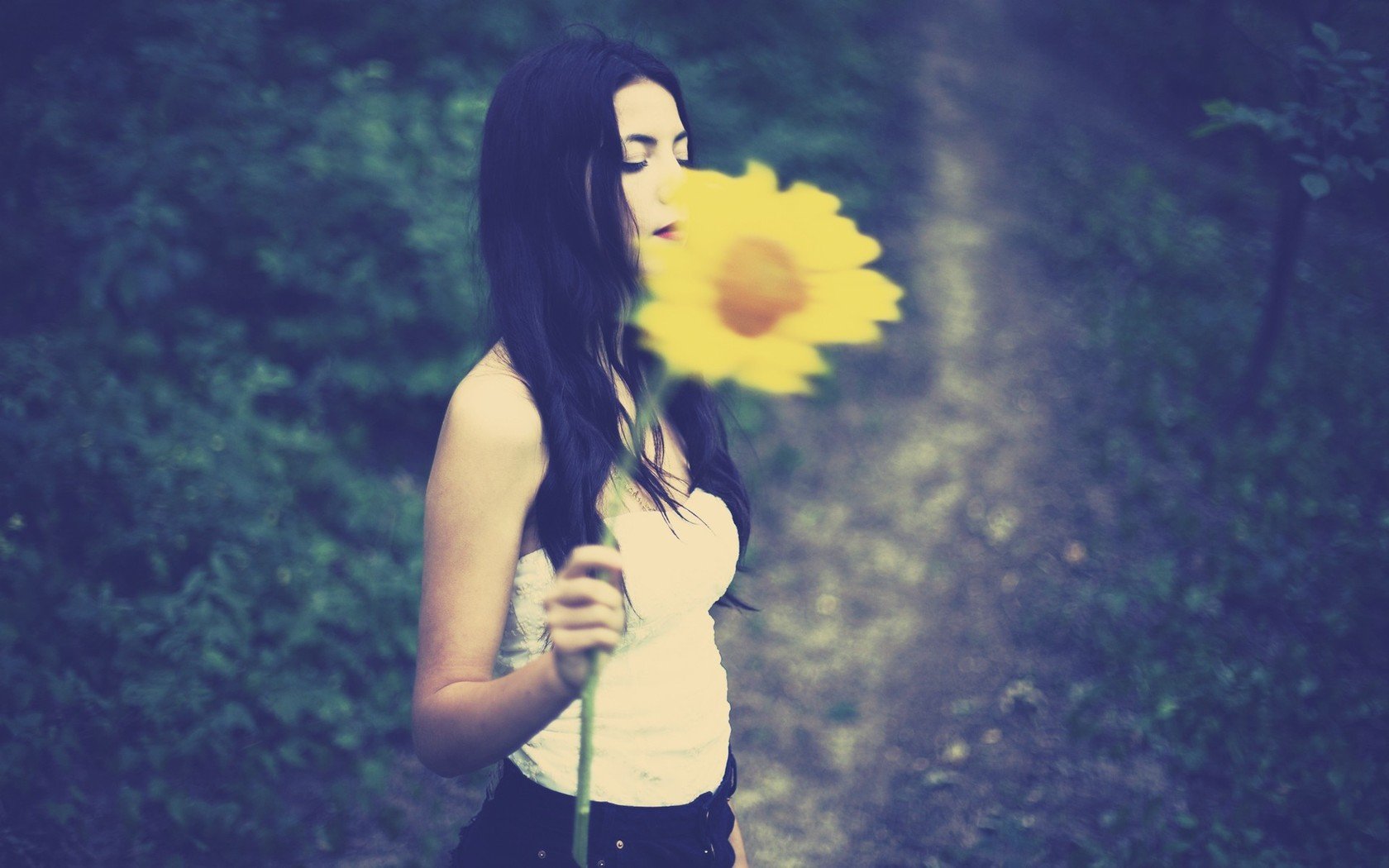 小清新,儿童桌面专用