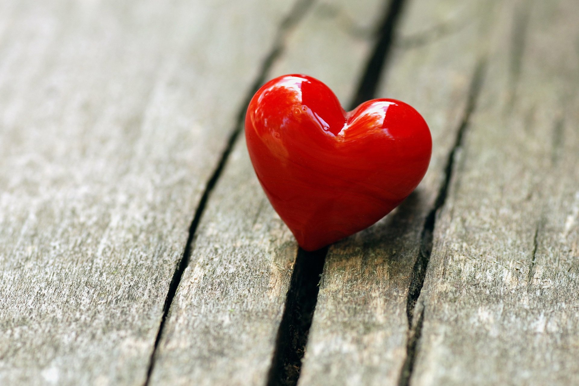 小清新,LOMO,摄影,静物,非主流,文艺,儿童桌面专用