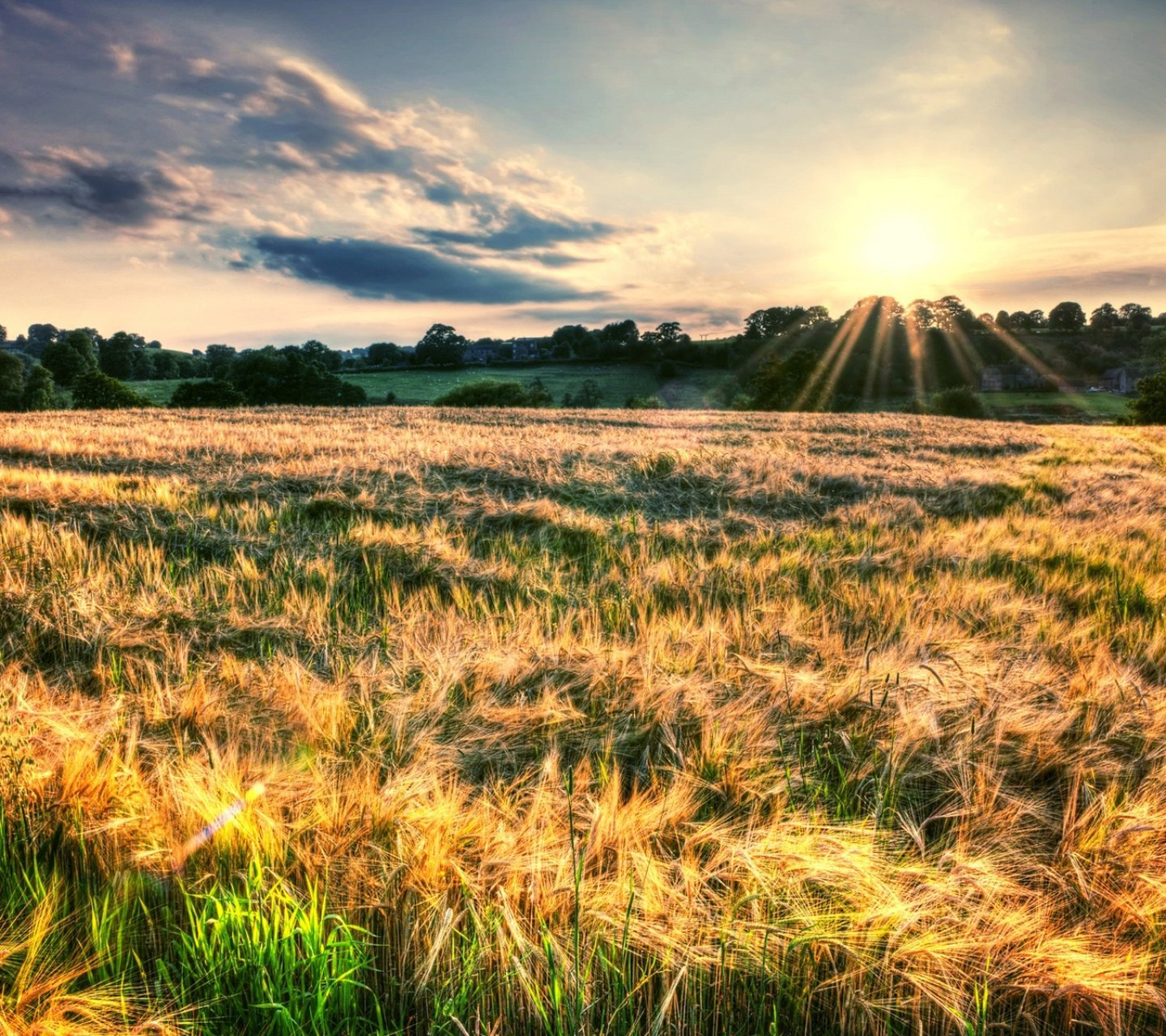 风景,儿童桌面专用