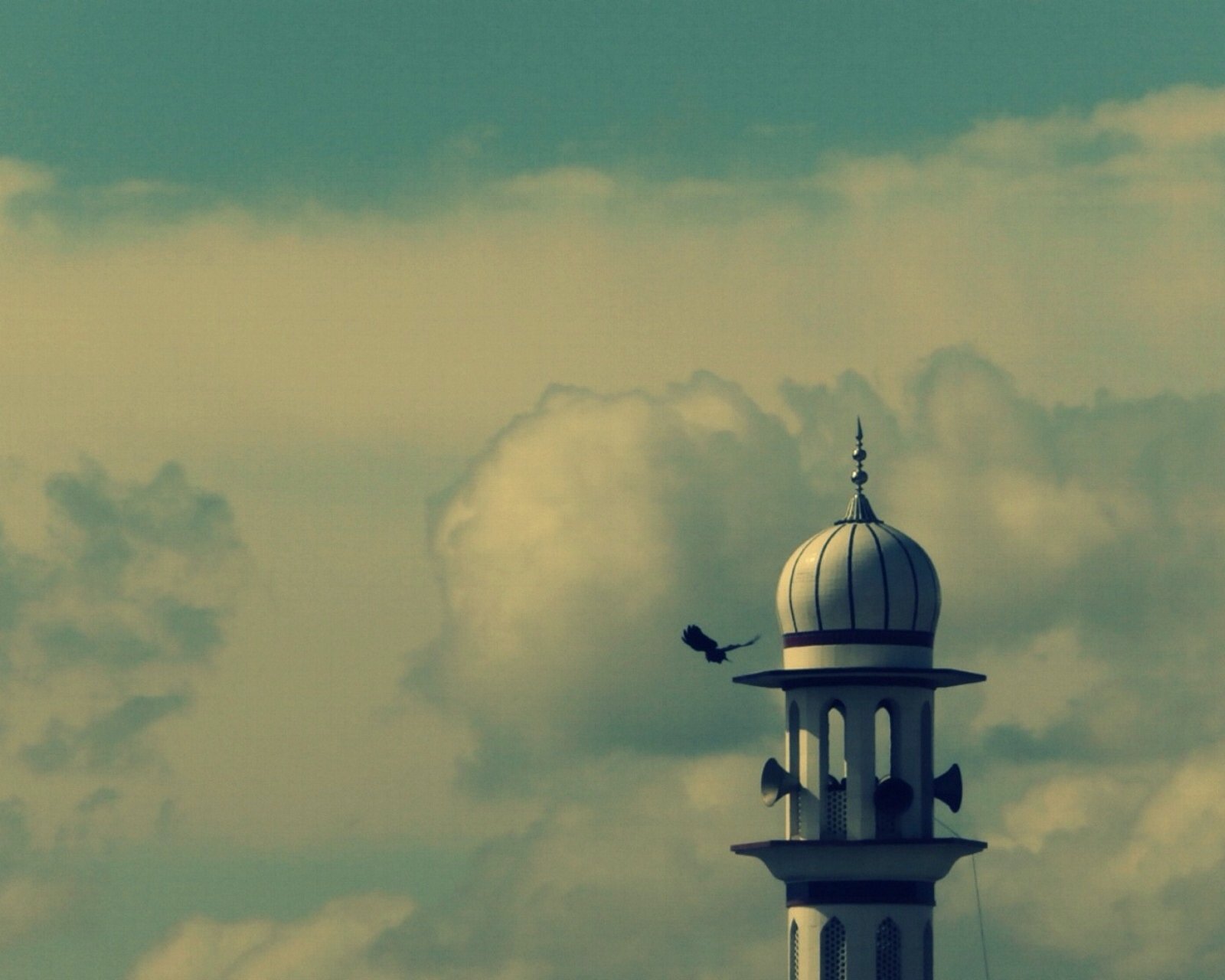 风景,儿童桌面专用