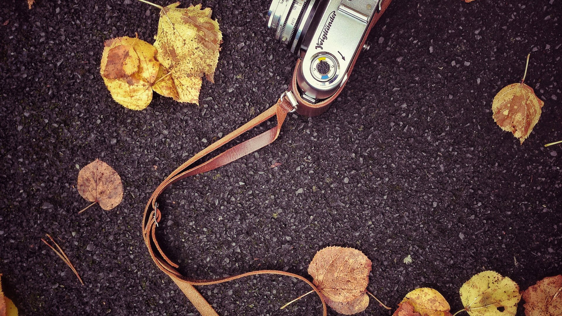 小清新,儿童桌面专用