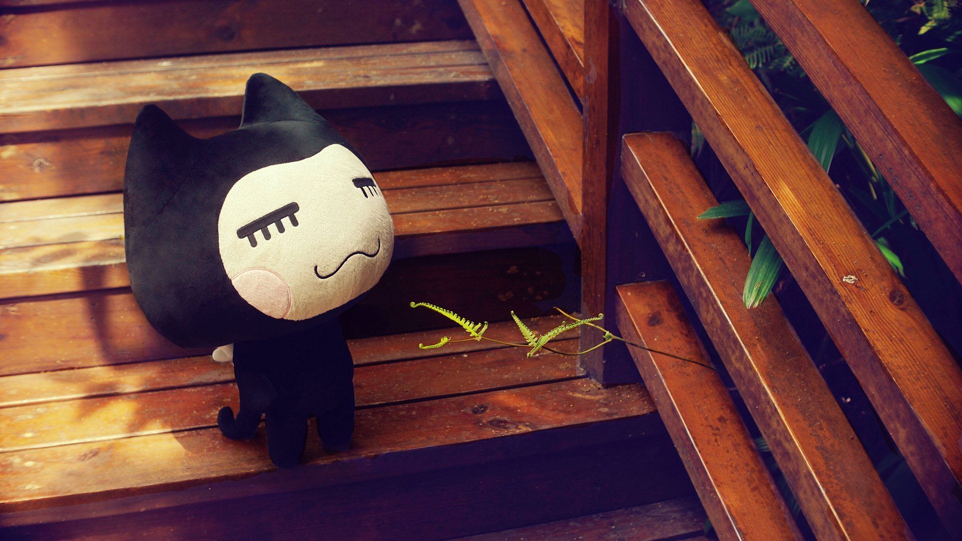 小左小右,小清新,摄影,儿童桌面专用