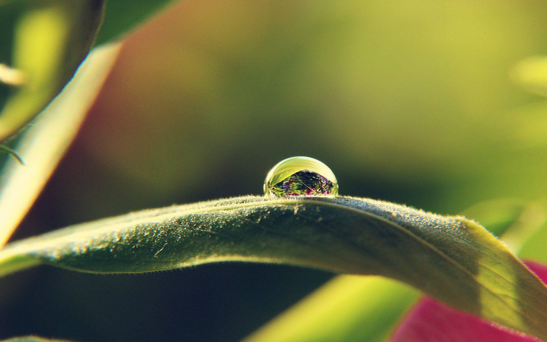 小清新,儿童桌面专用