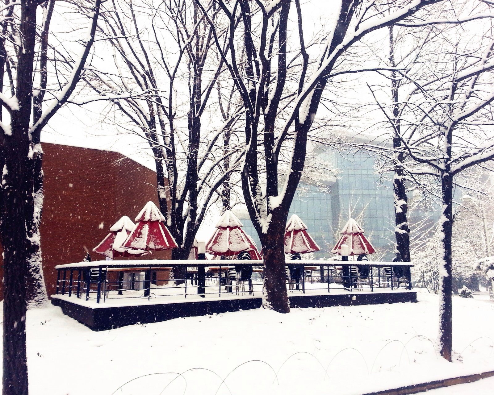 风景,儿童桌面专用