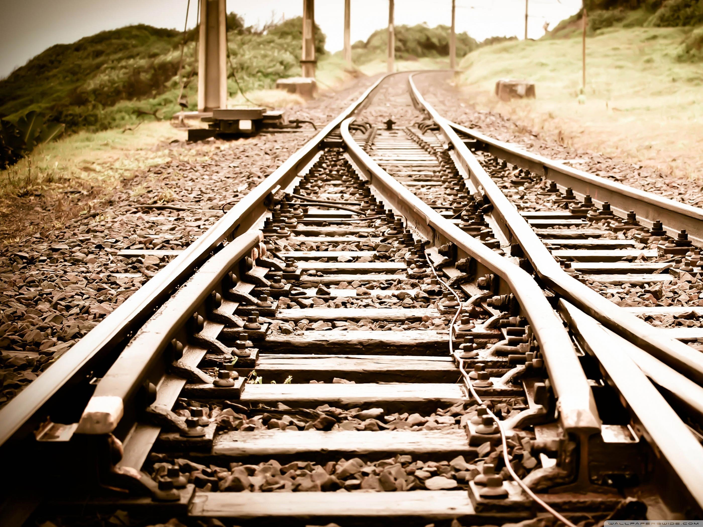 风景,儿童桌面专用