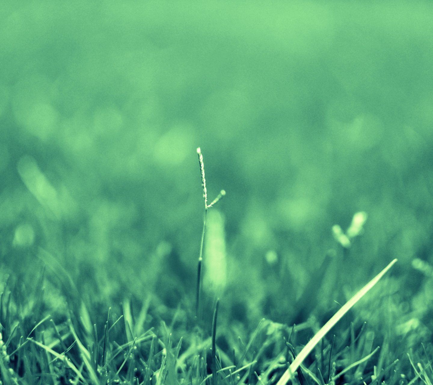 小清新,儿童桌面专用