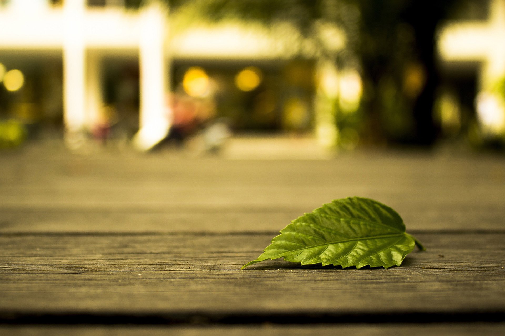 风景大片,摄影,心旷神怡,儿童桌面专用