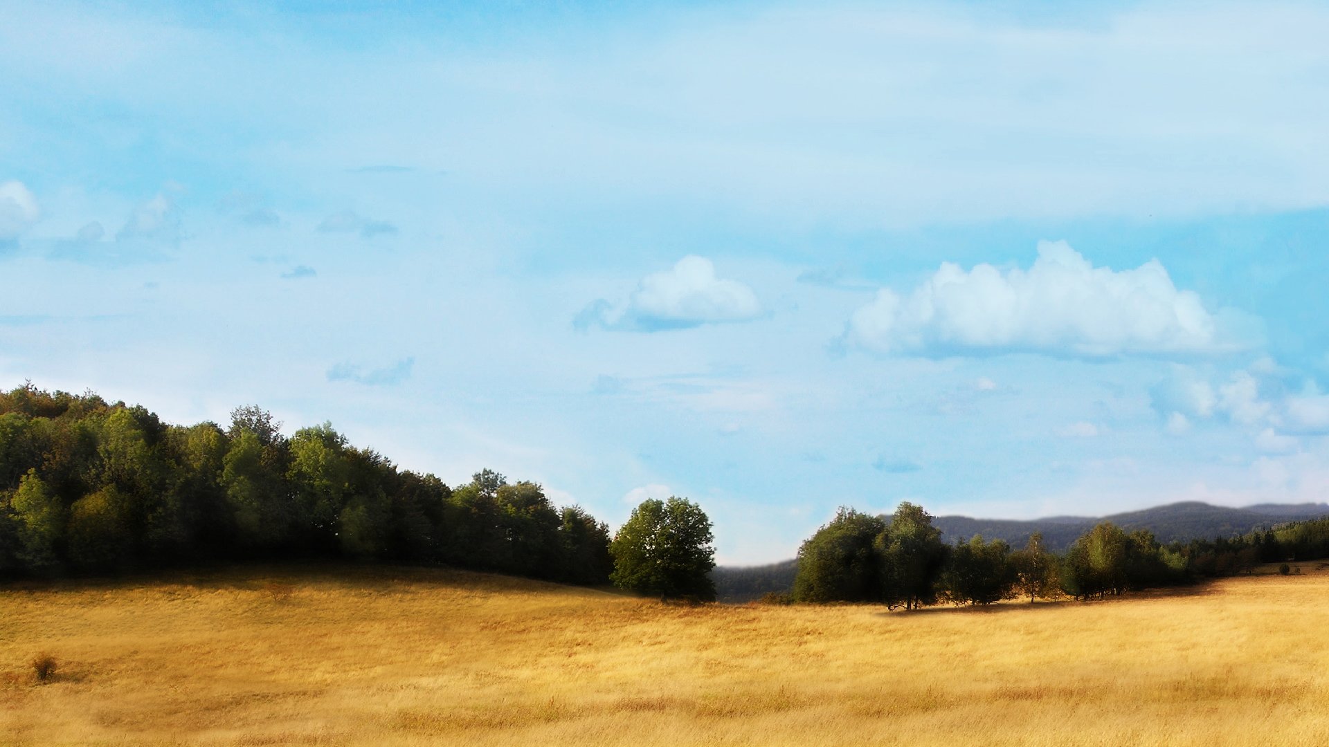 风景,儿童桌面专用