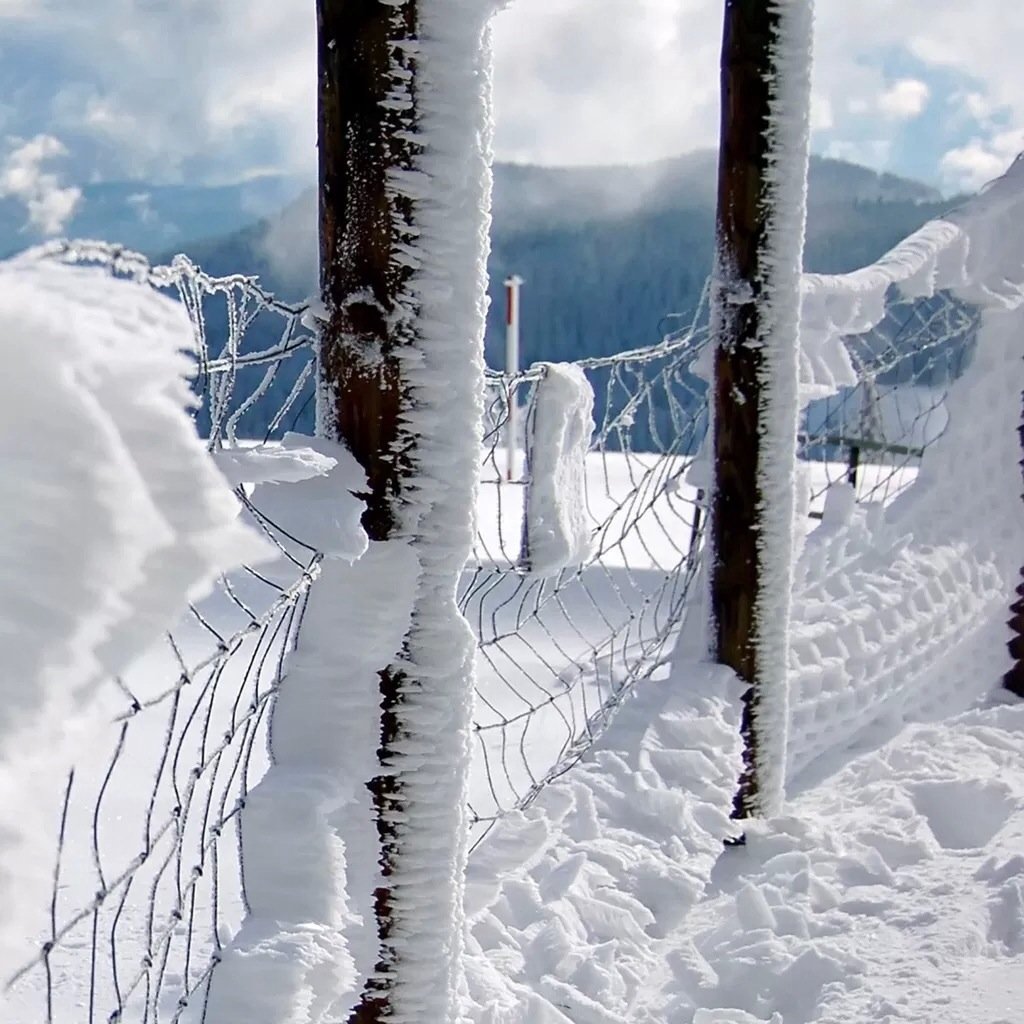 风景,儿童桌面专用