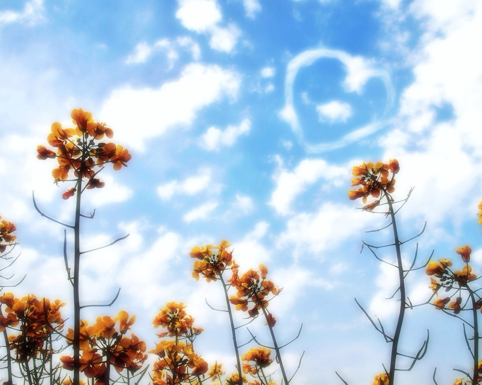 小清新,儿童桌面专用