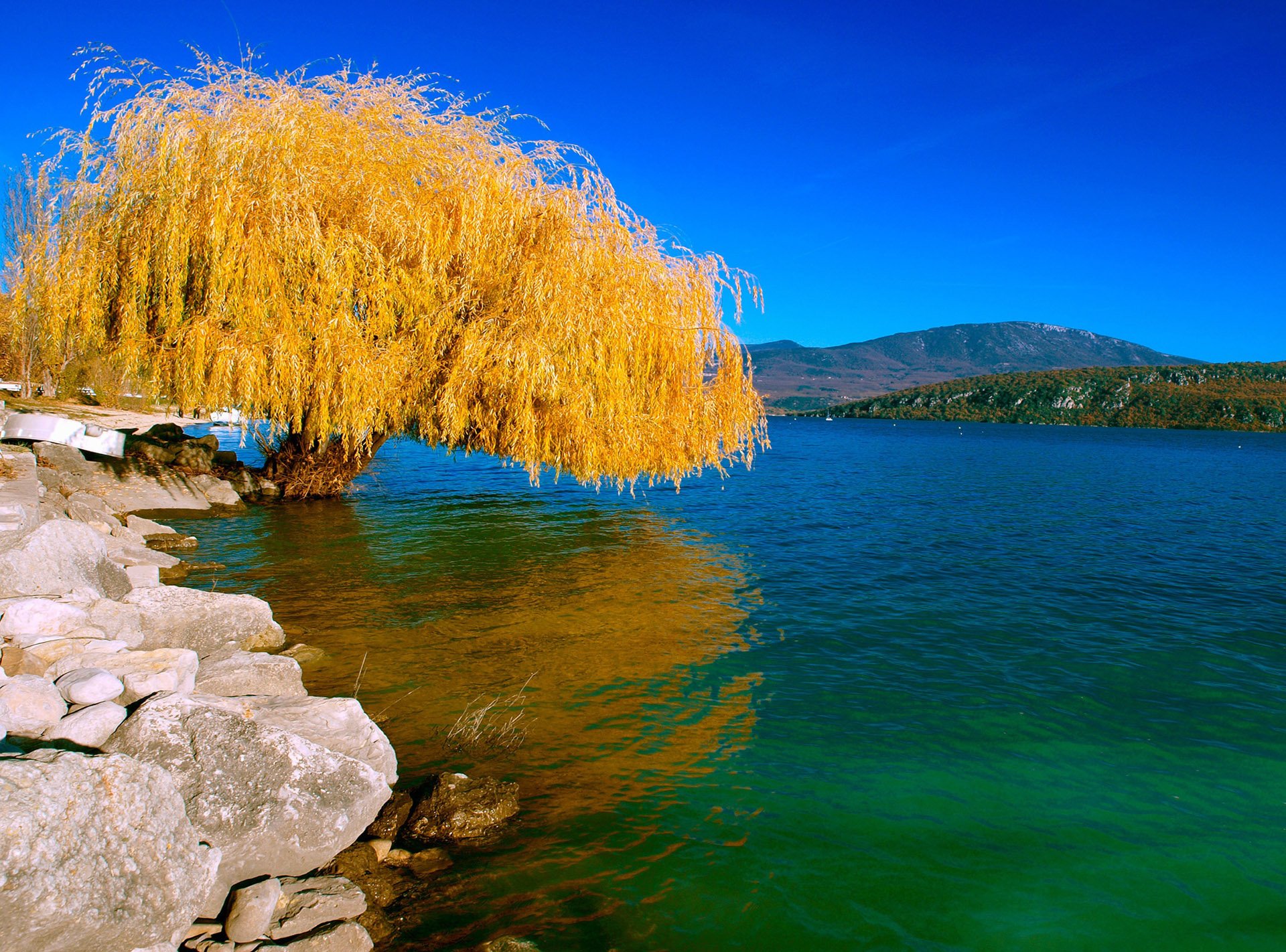 风景,儿童桌面专用