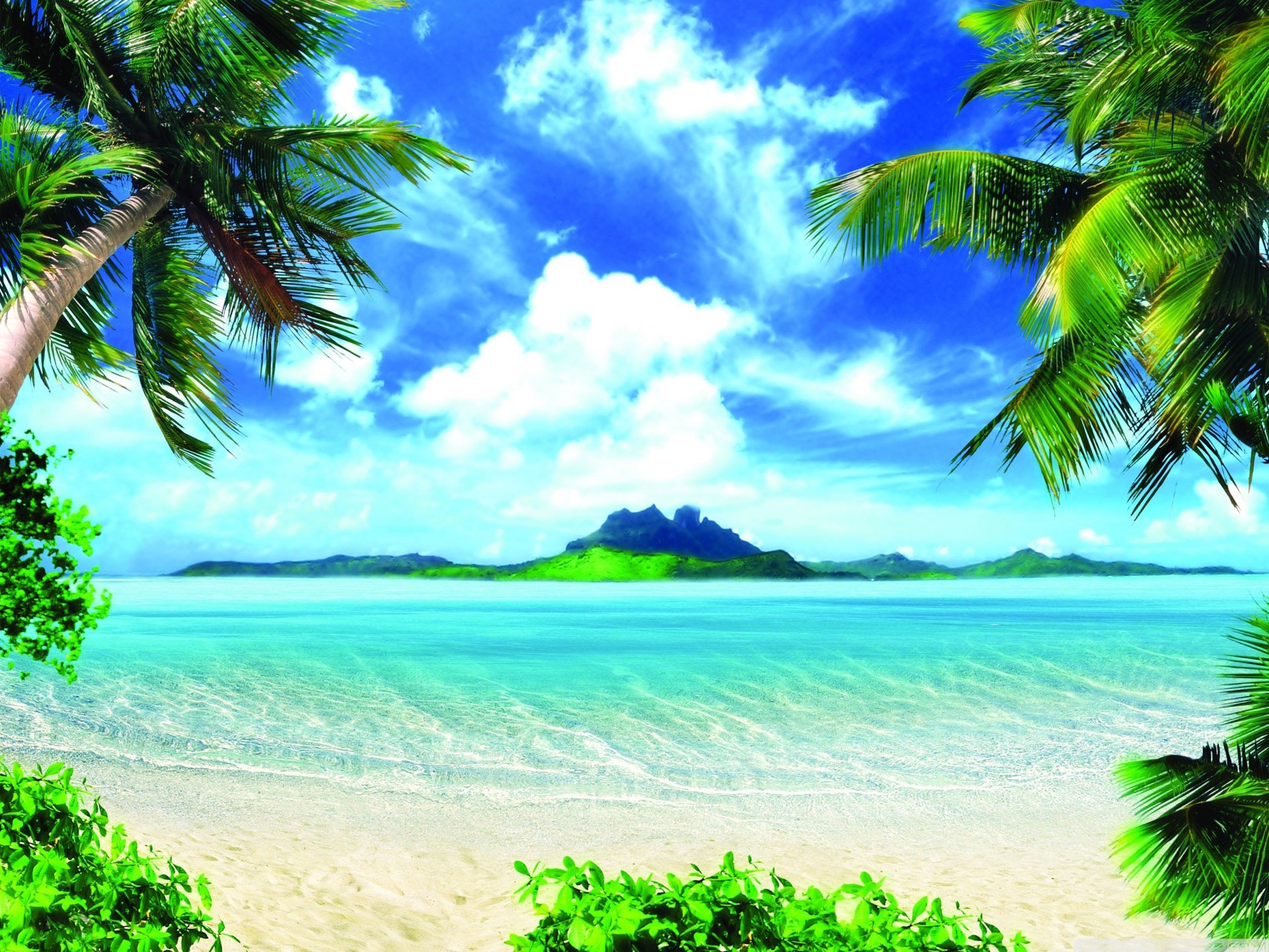 风景,儿童桌面专用