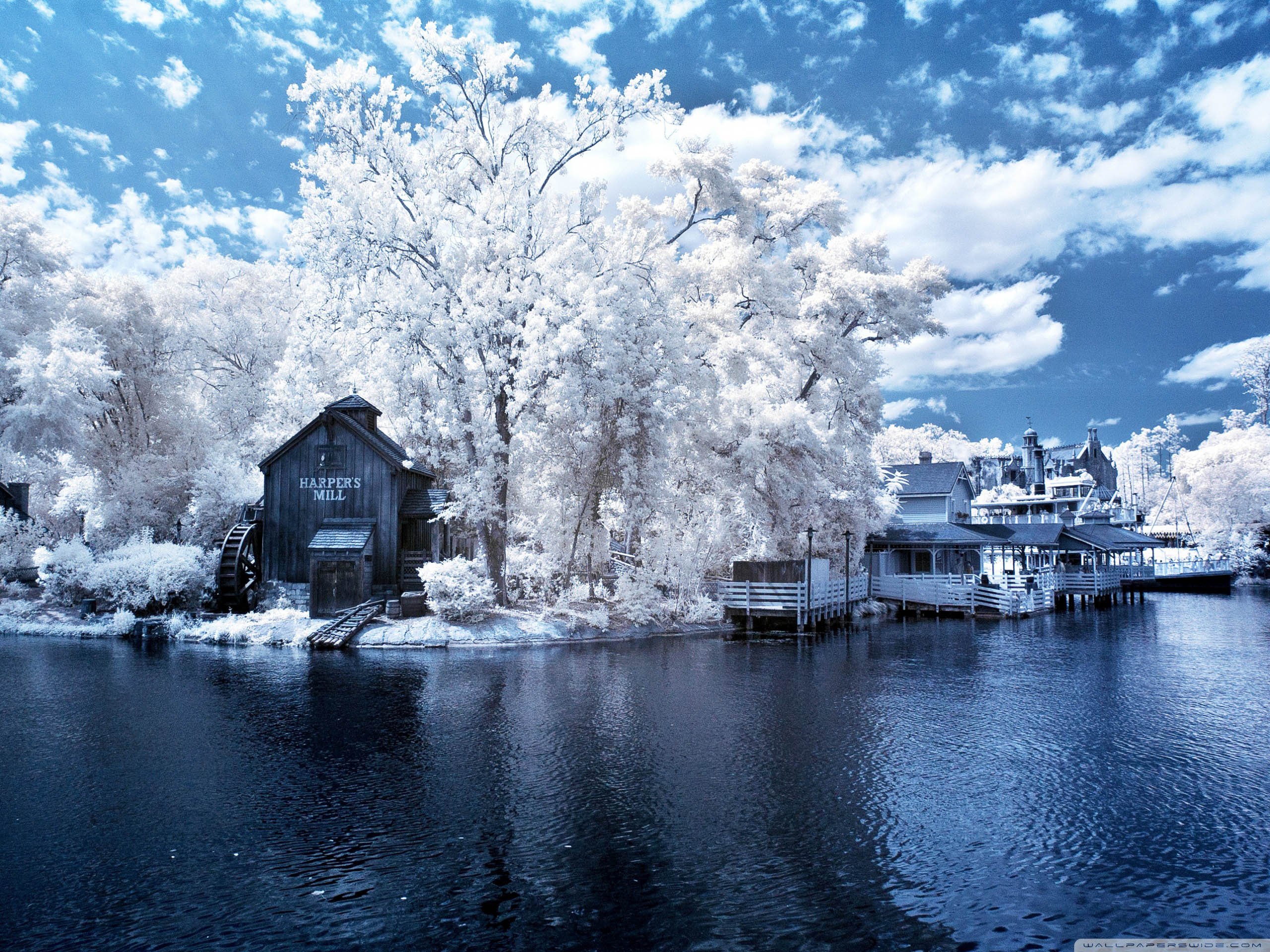 风景,儿童桌面专用