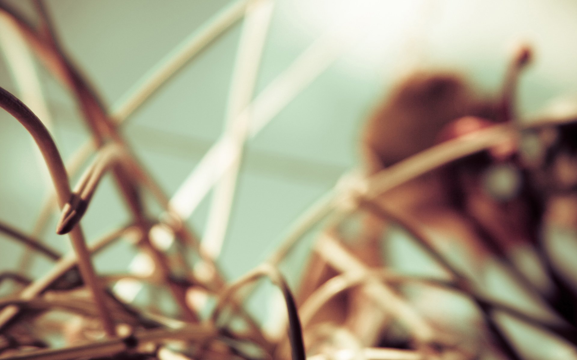 小清新,儿童桌面专用