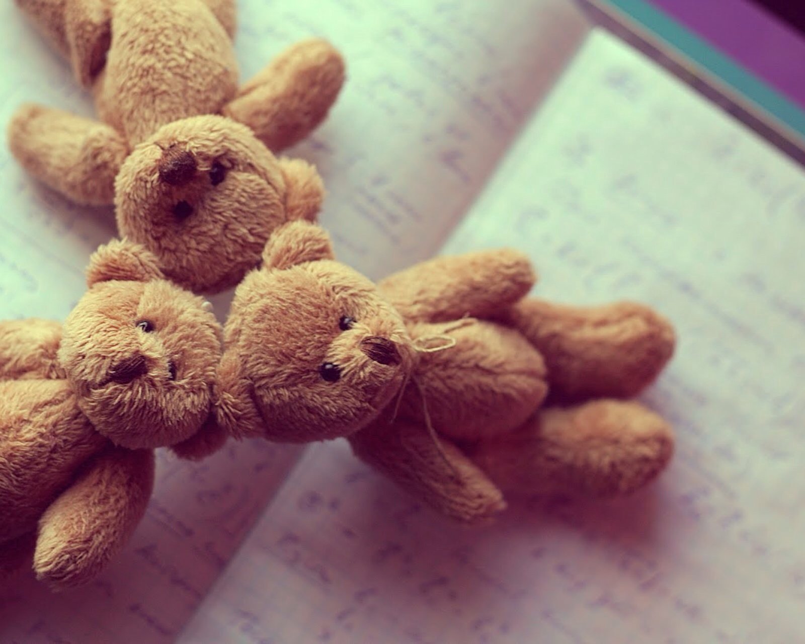 小清新,儿童桌面专用