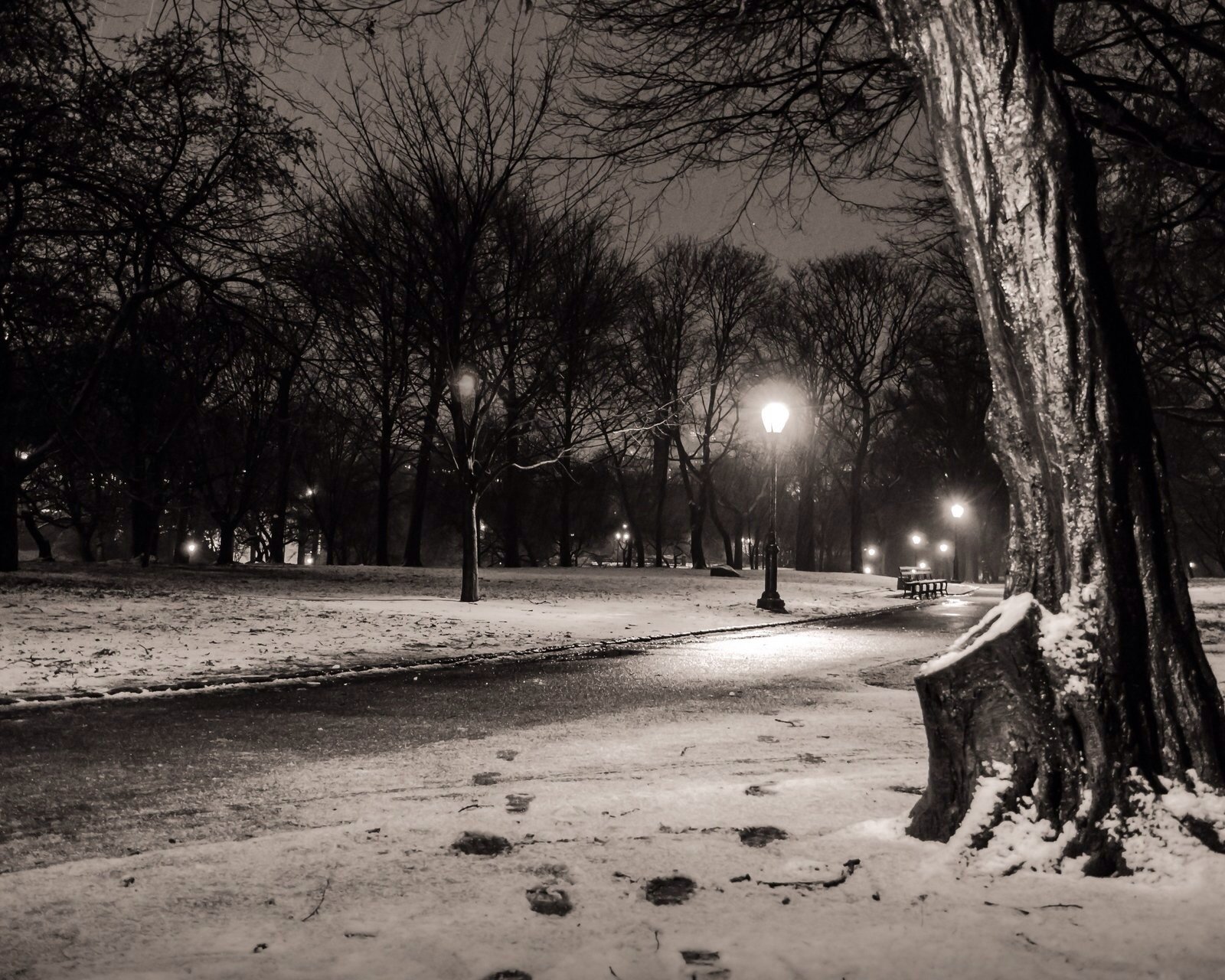 风景,儿童桌面专用