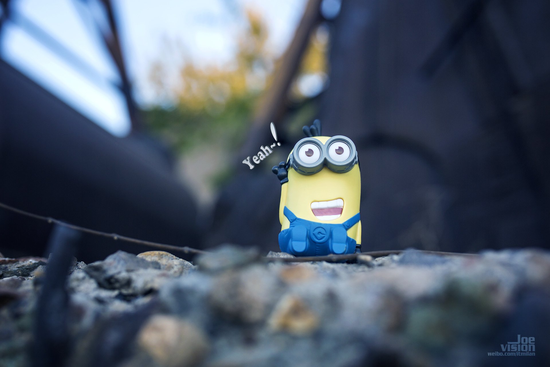 电影,卑鄙的我,神偷奶爸,小黄人,摄影,小黄人专辑