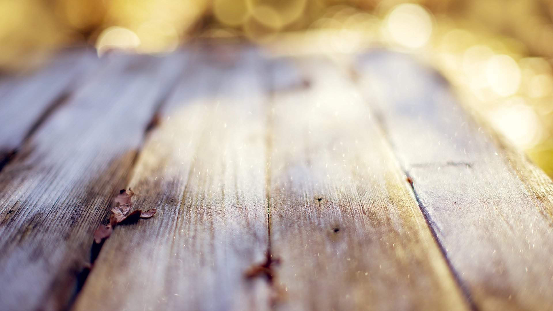 小清新,儿童桌面专用