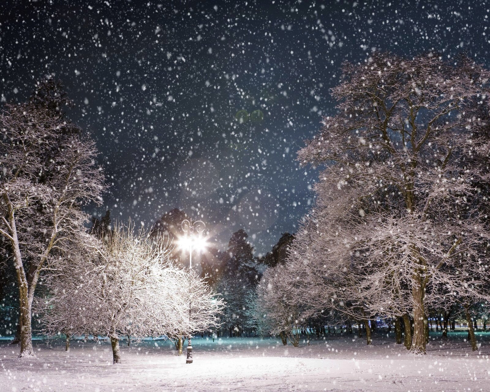 风景,儿童桌面专用