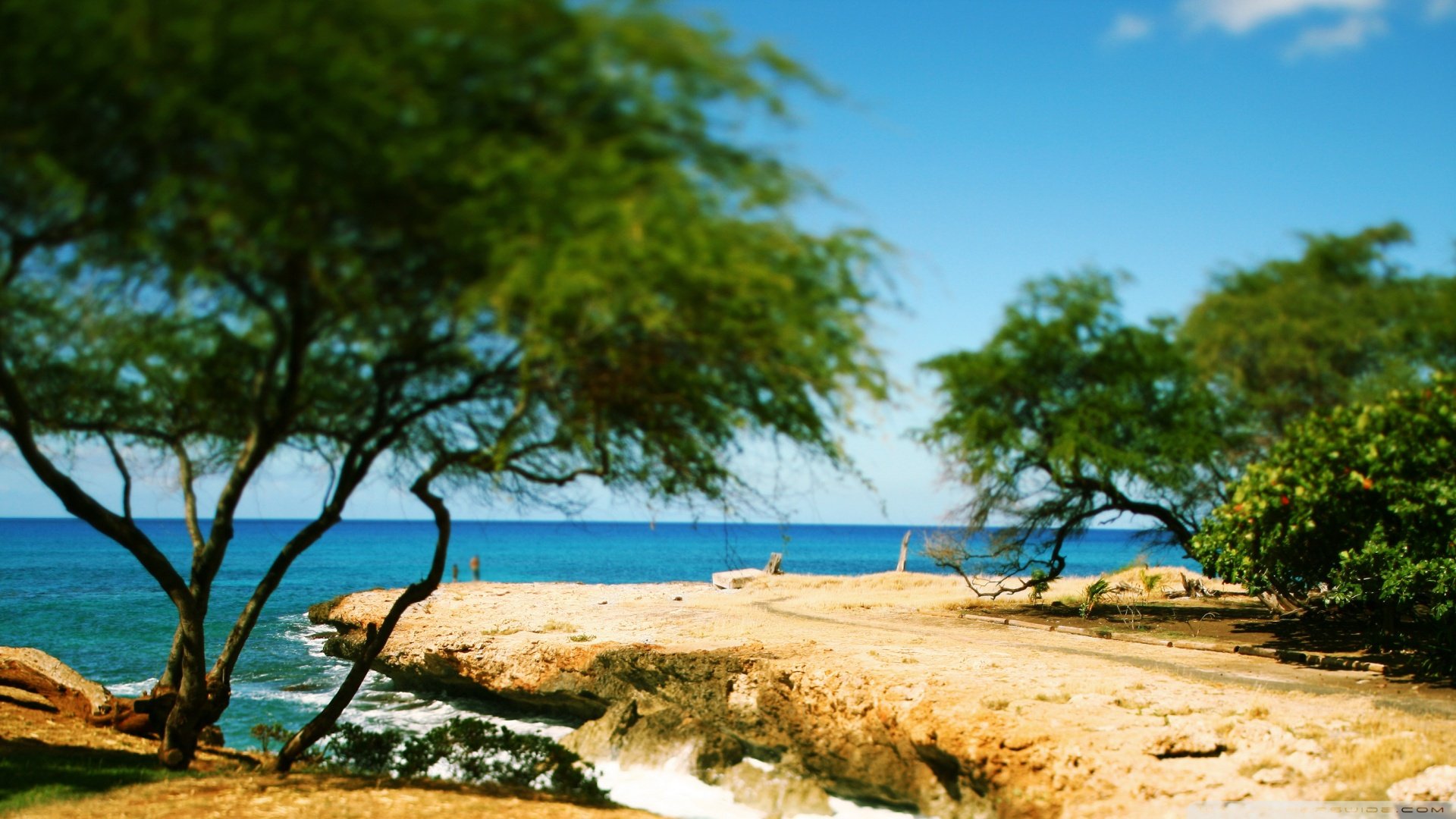 风景,儿童桌面专用