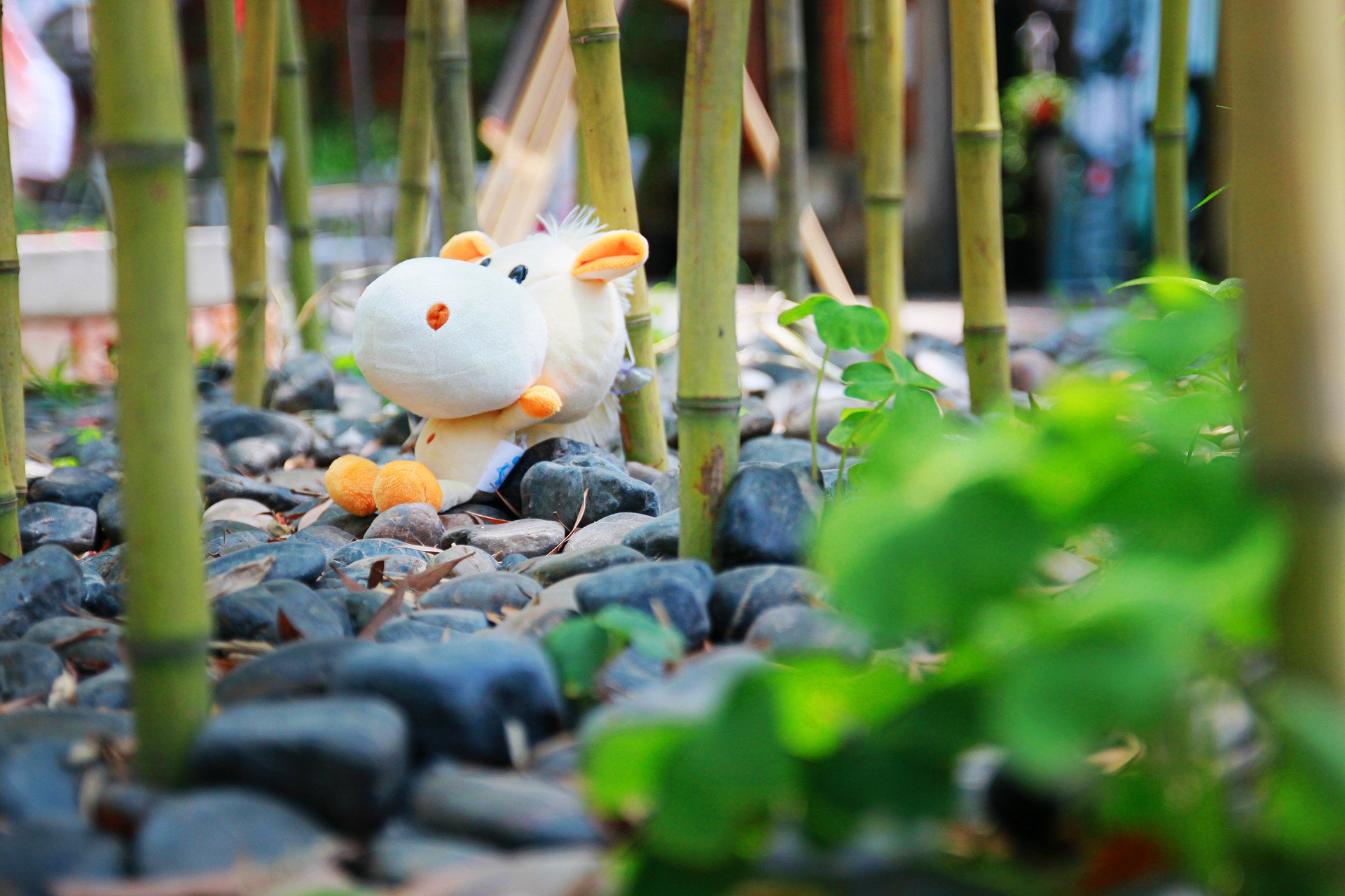 小清新,儿童桌面专用