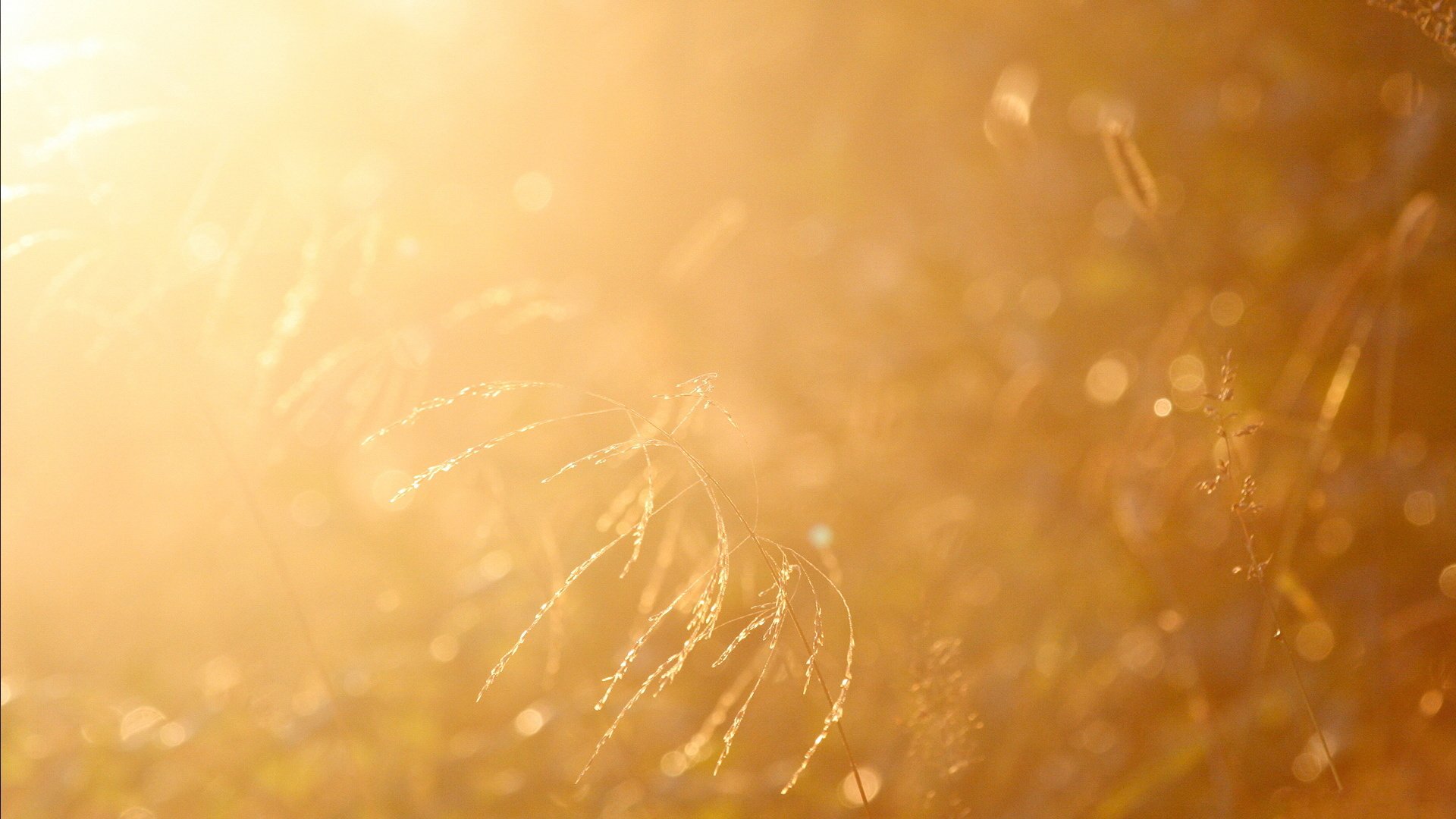 风景大片,心旷神怡,美景,儿童桌面专用