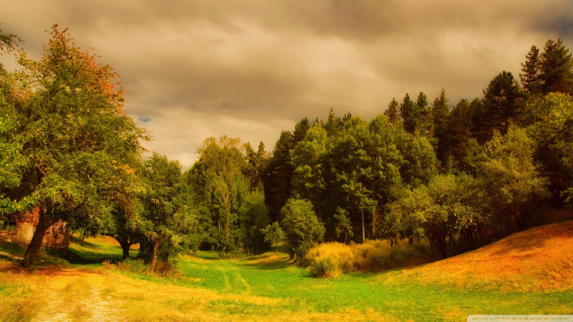 风景,儿童桌面专用