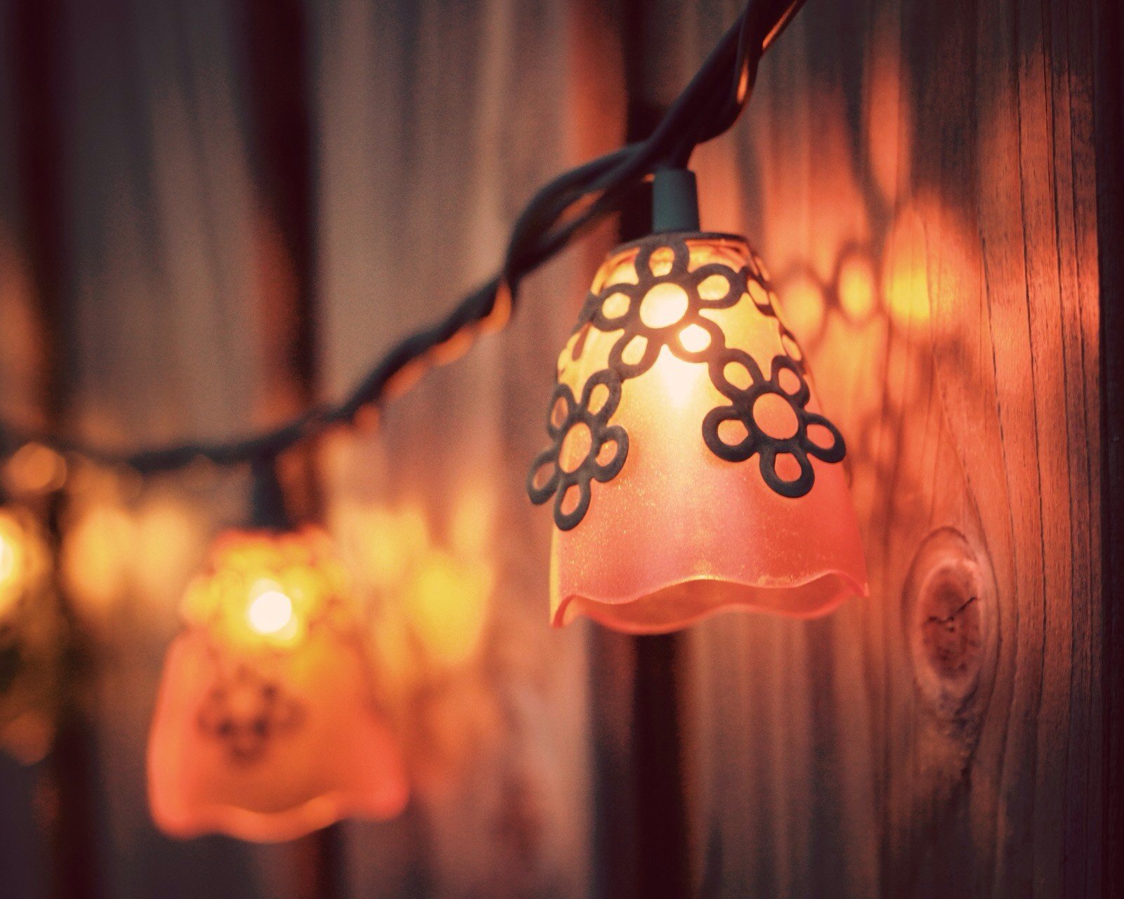 风景,儿童桌面专用